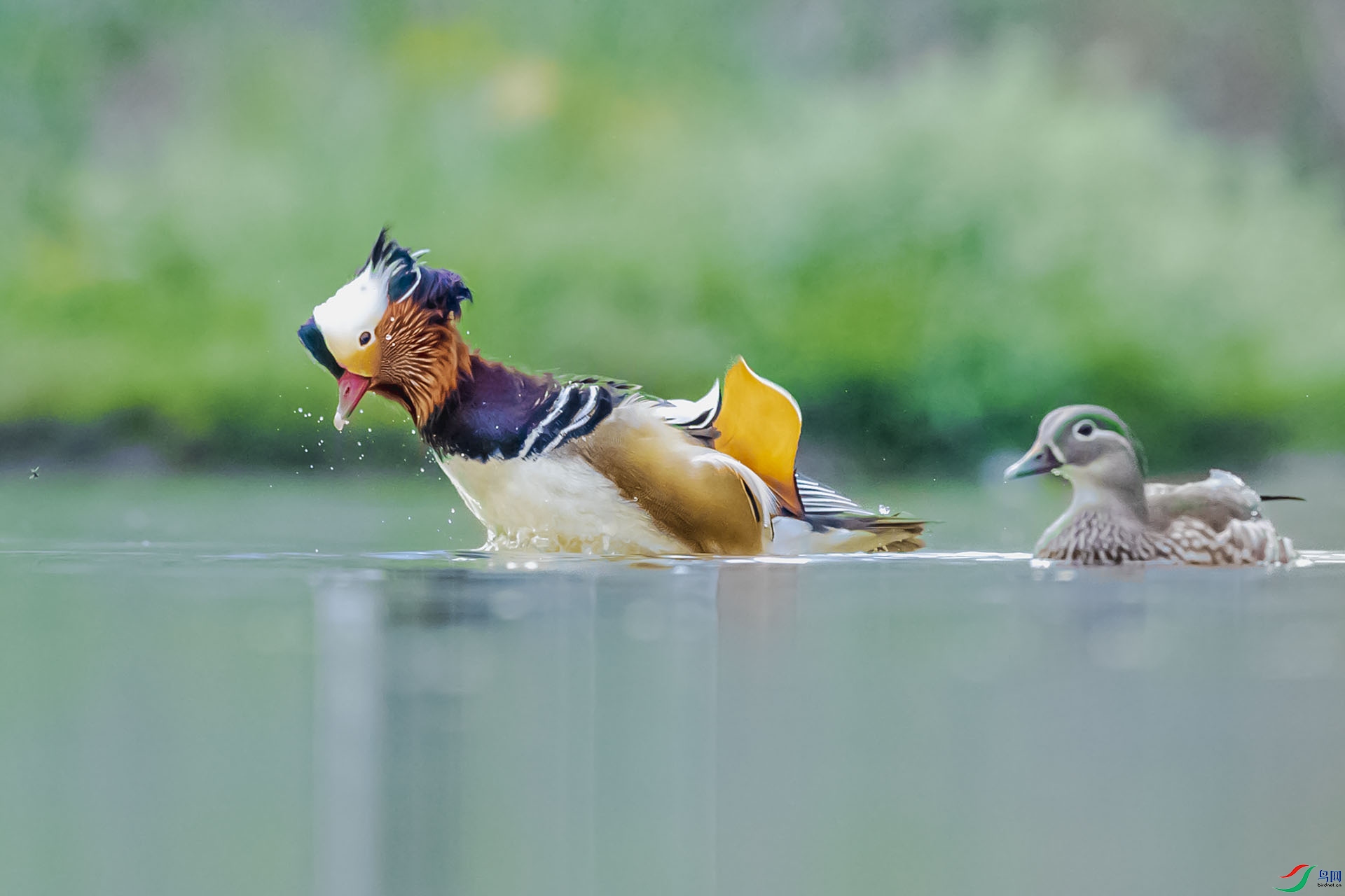 AF3I0468 ����1111.jpg