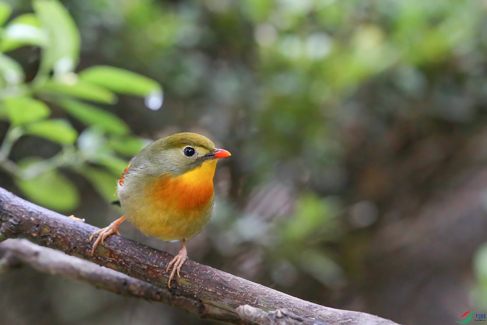 AQ4P8969-1.jpg