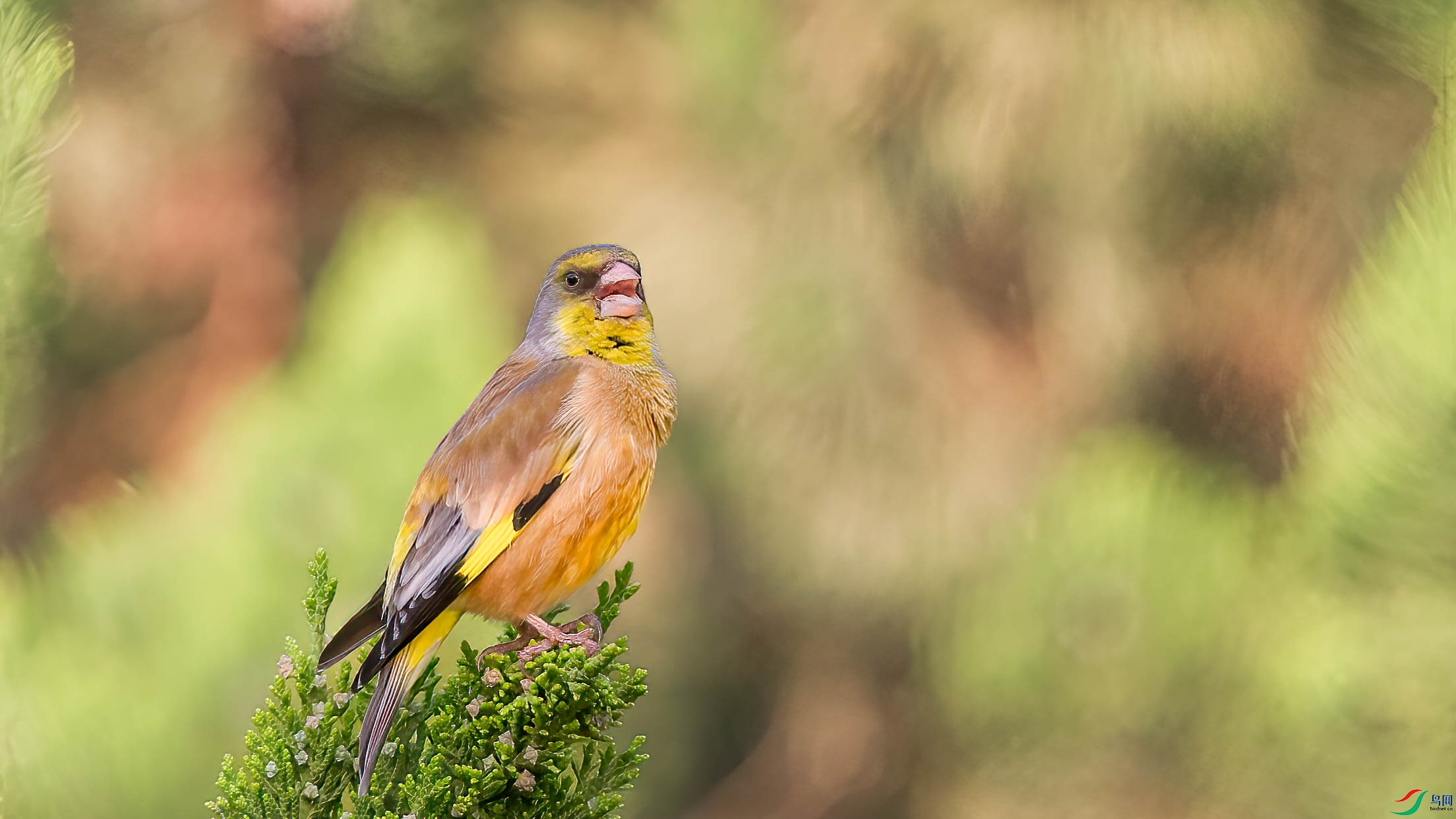 AQ4P8914-1.jpg