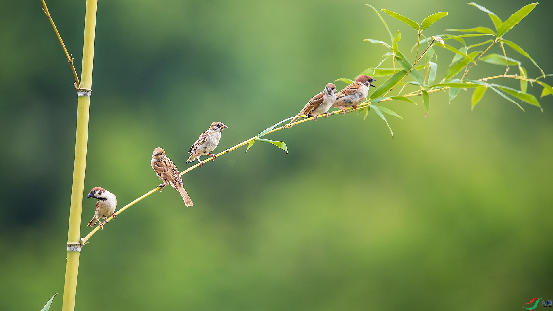 BU3I3990 ����.jpg