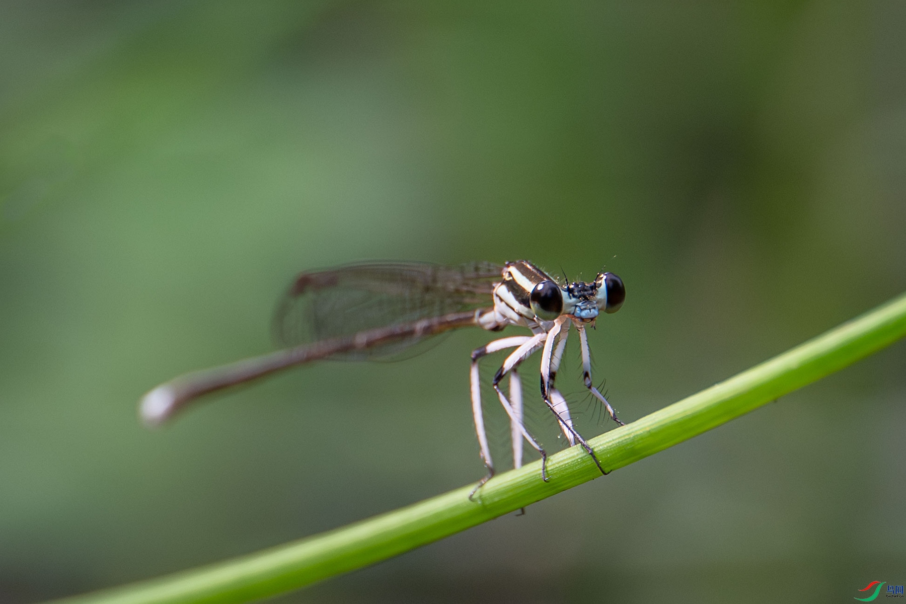 DSC_3678_����.jpg