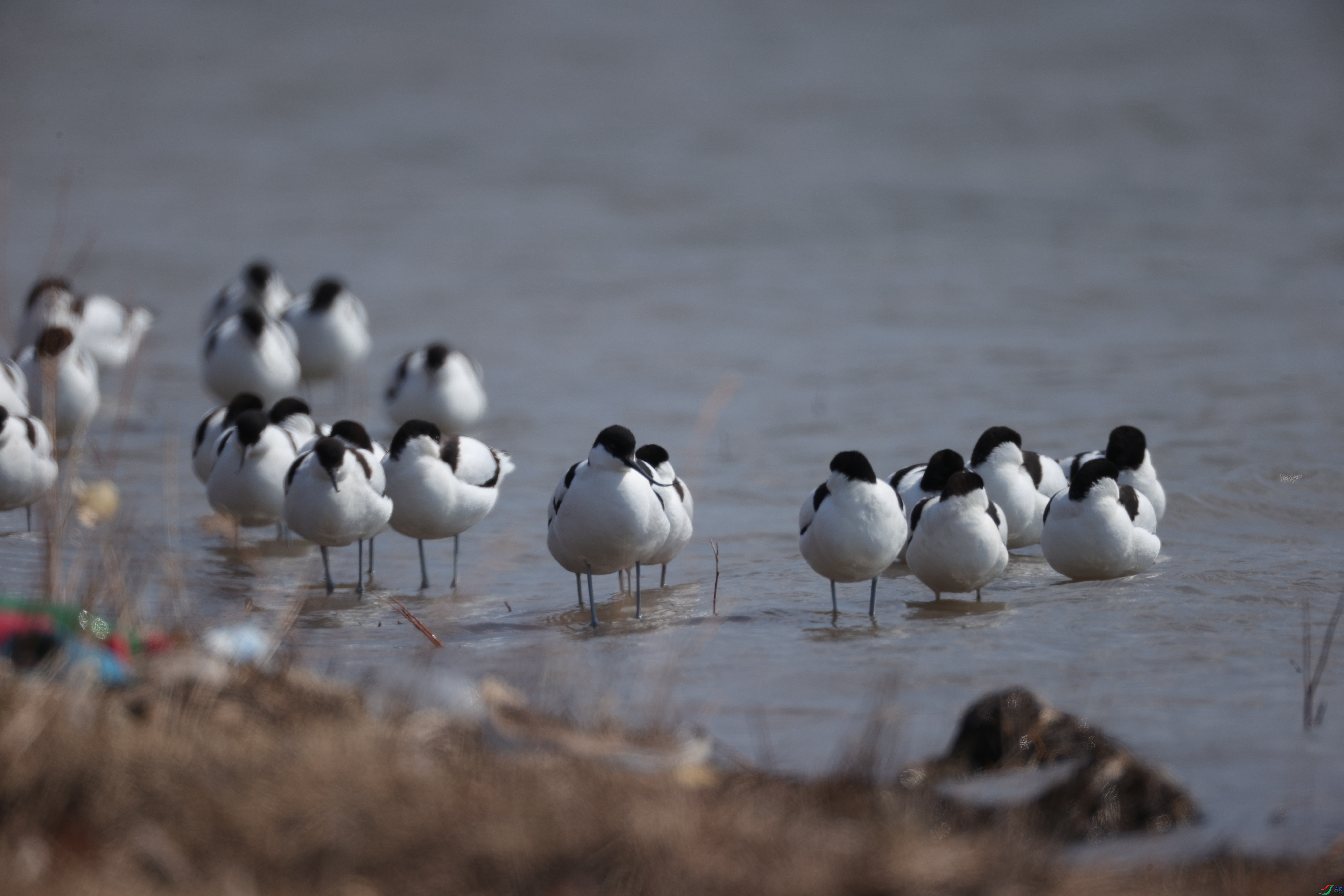 ������04