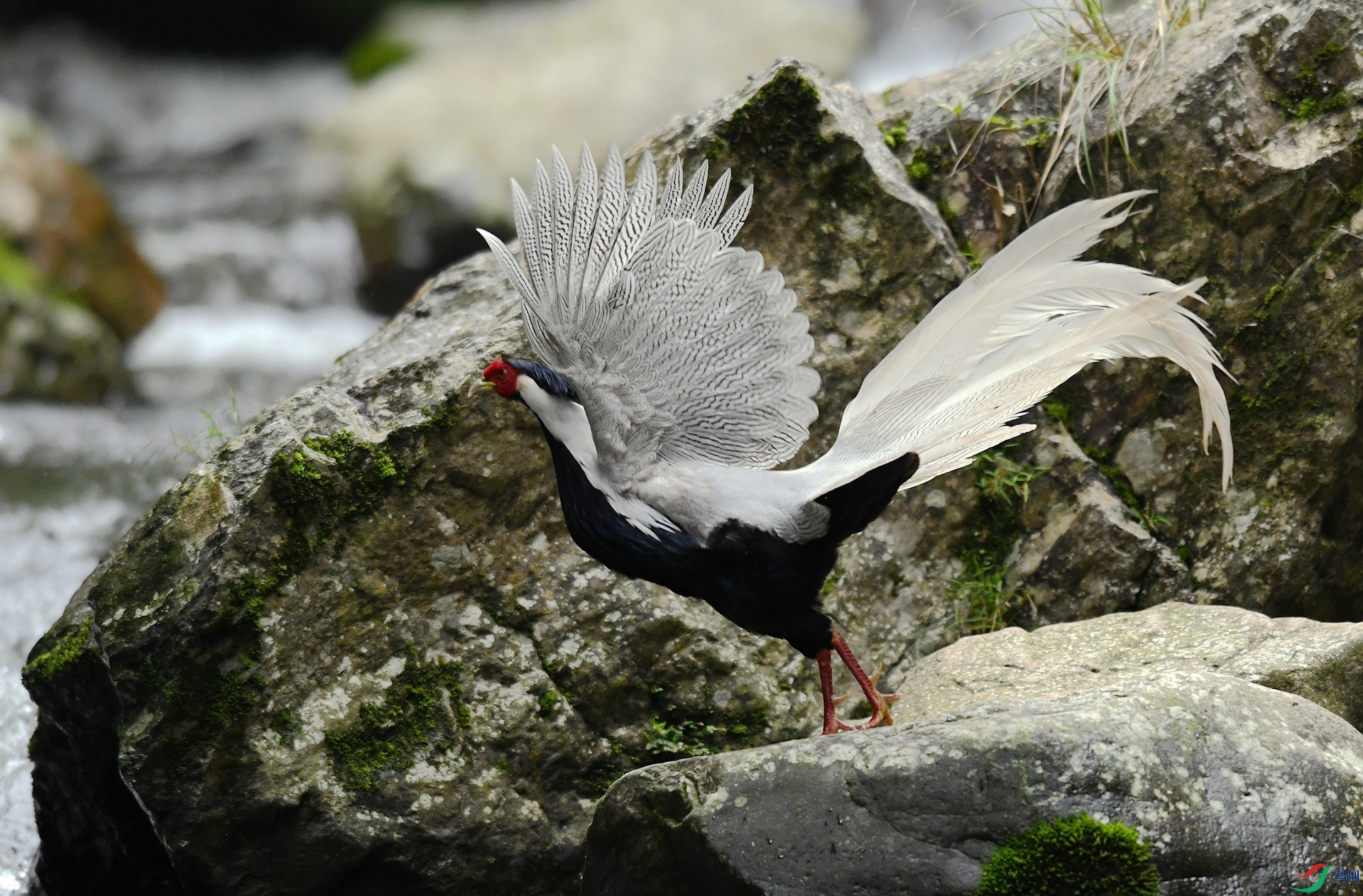 DSC_1875.jpg