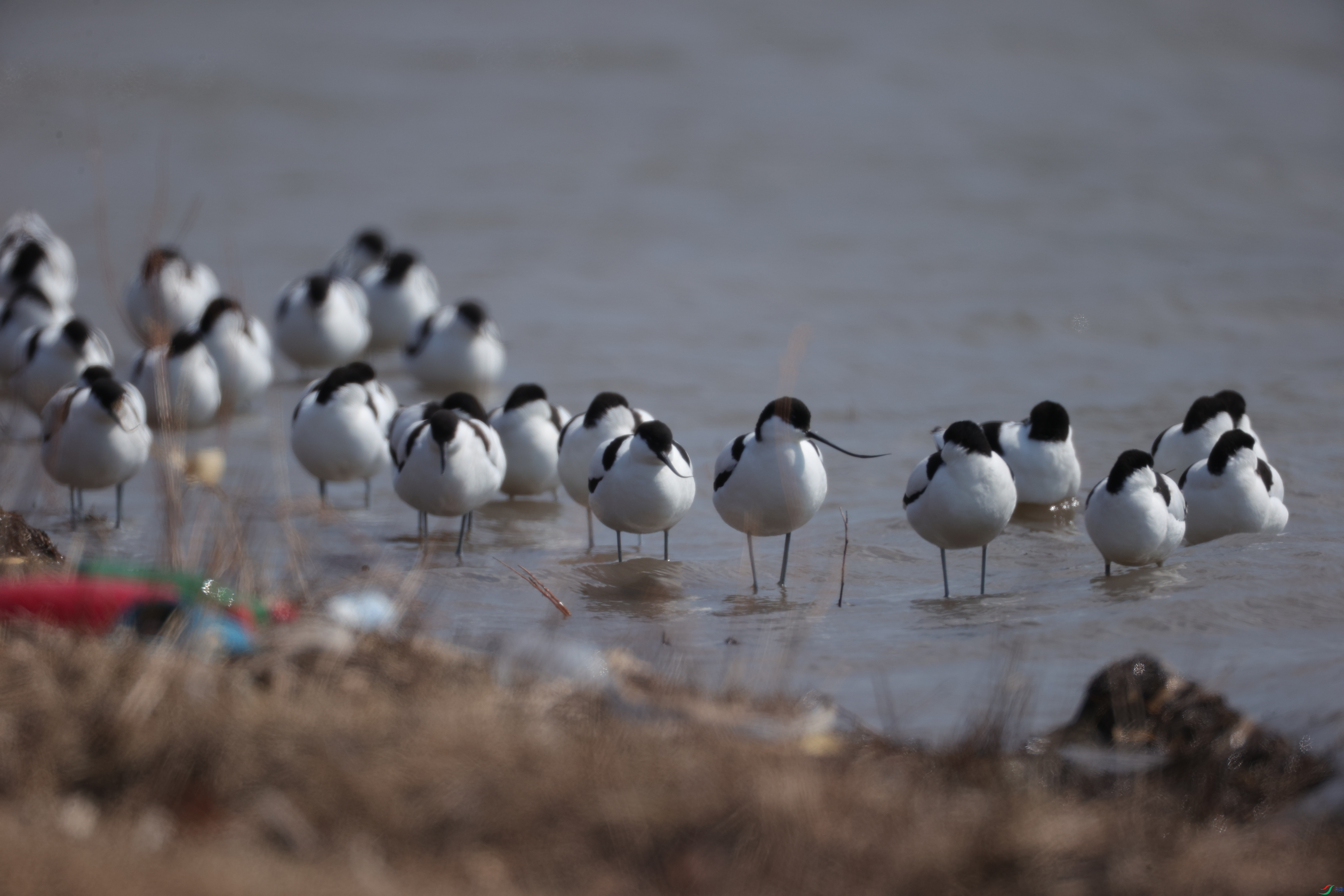 ������05