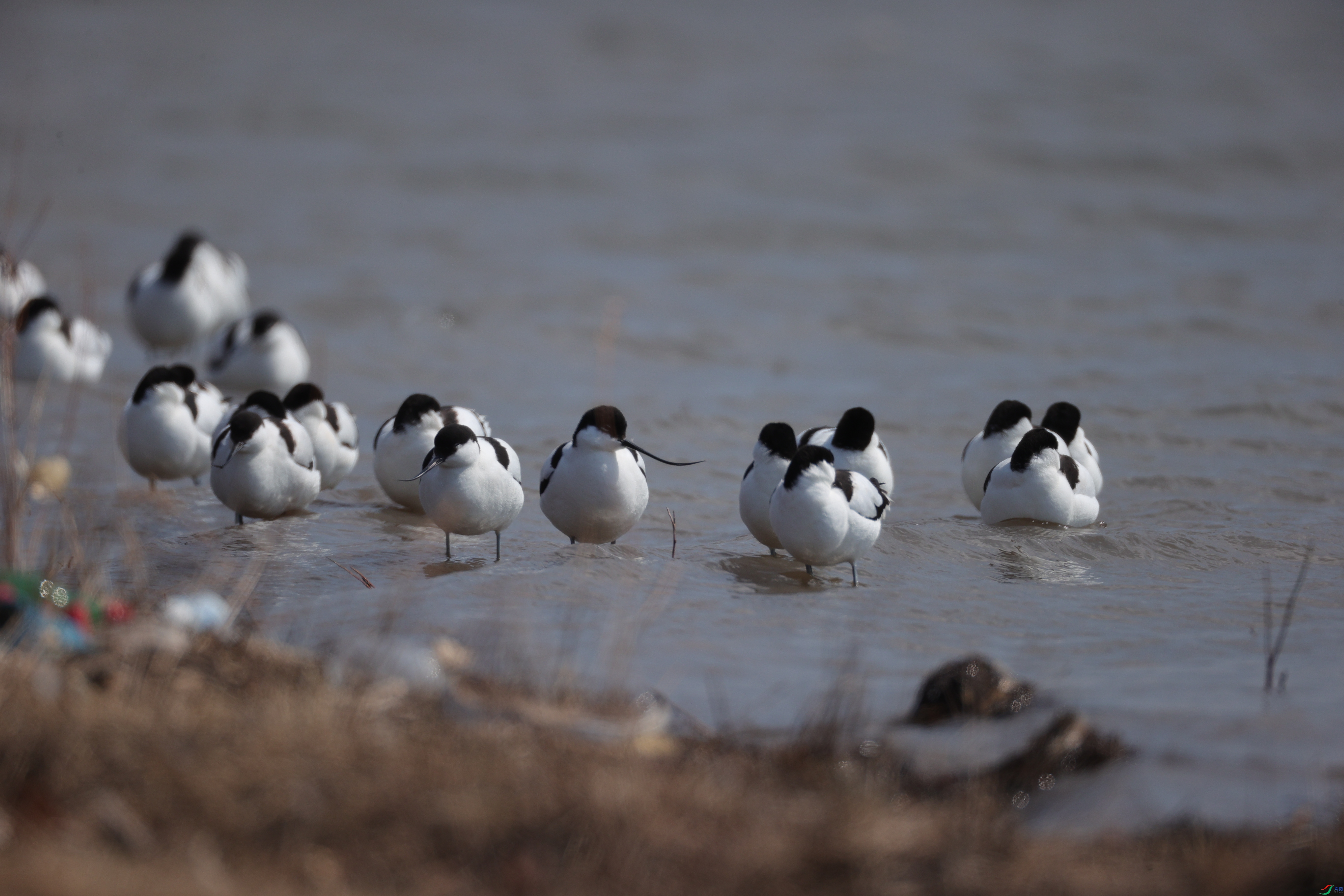 ������10