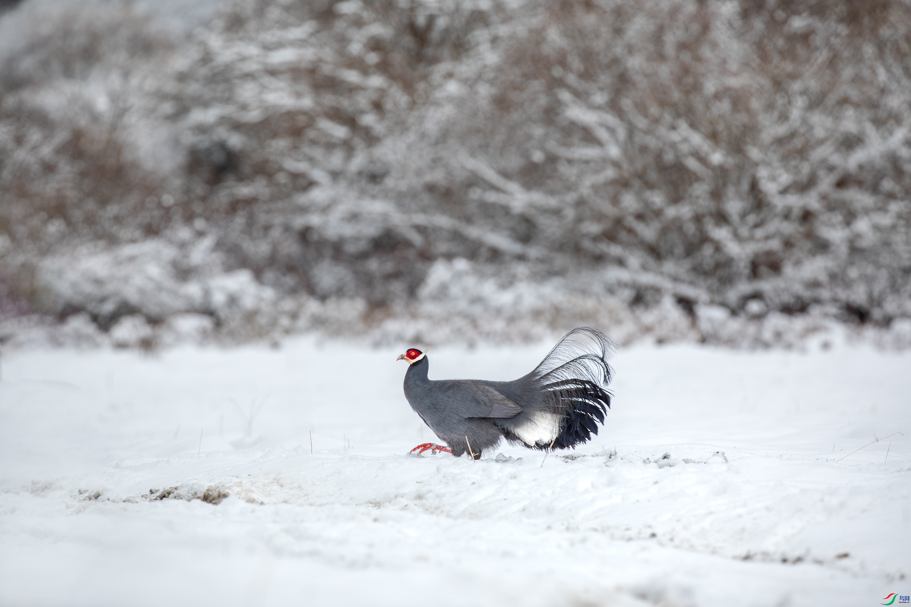 _S5A0279 ����.jpg