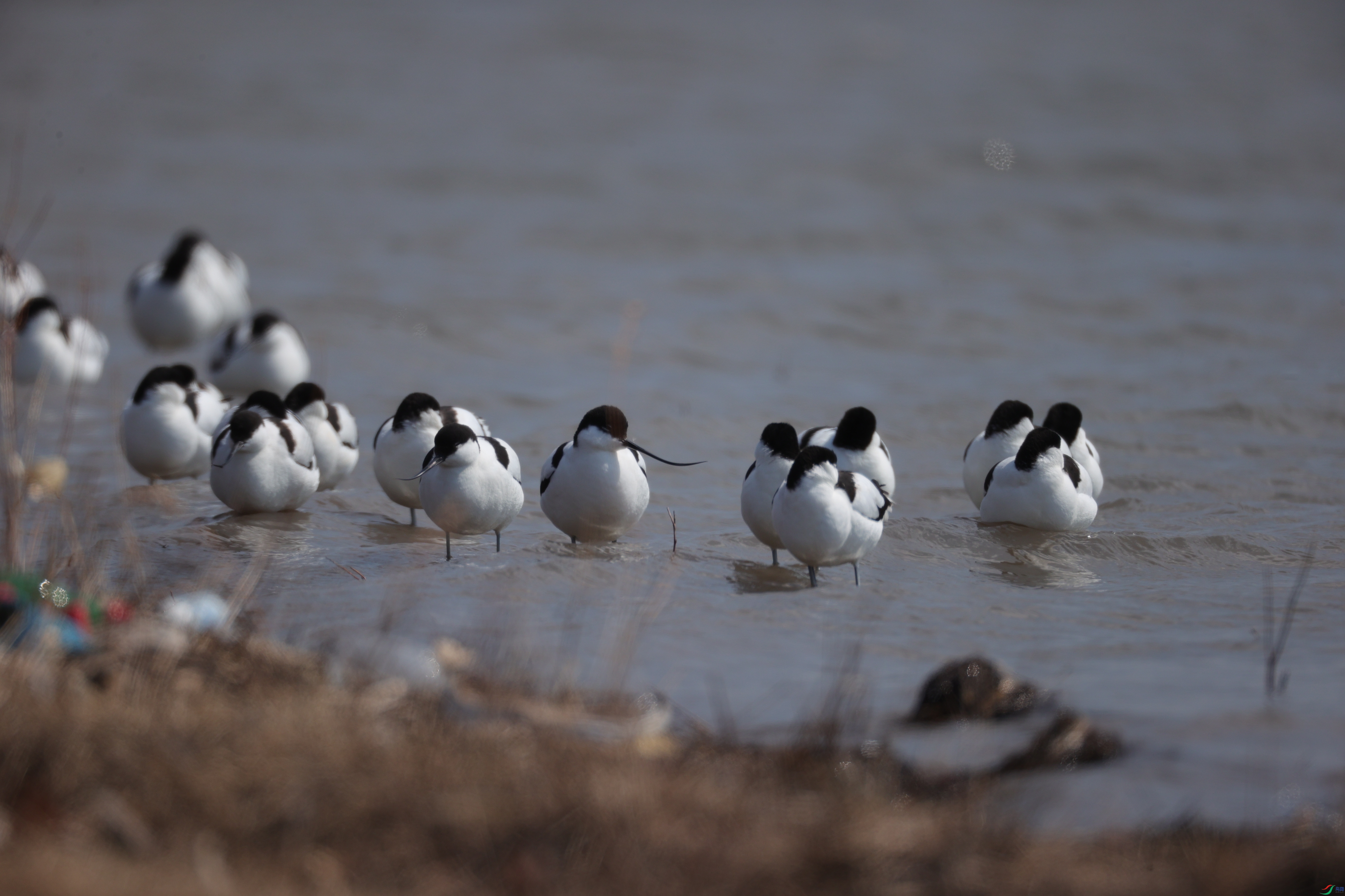 ������11