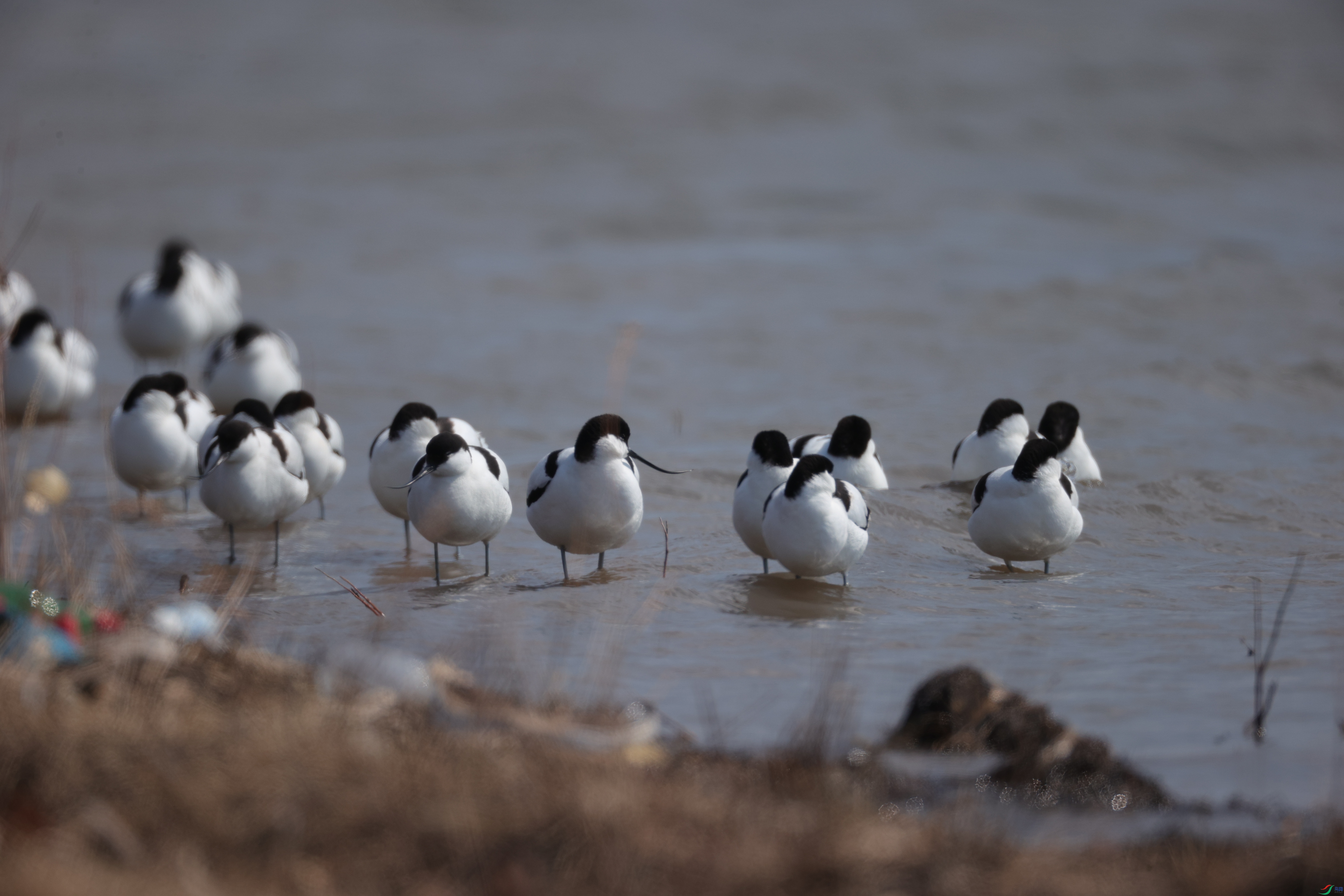 ������17