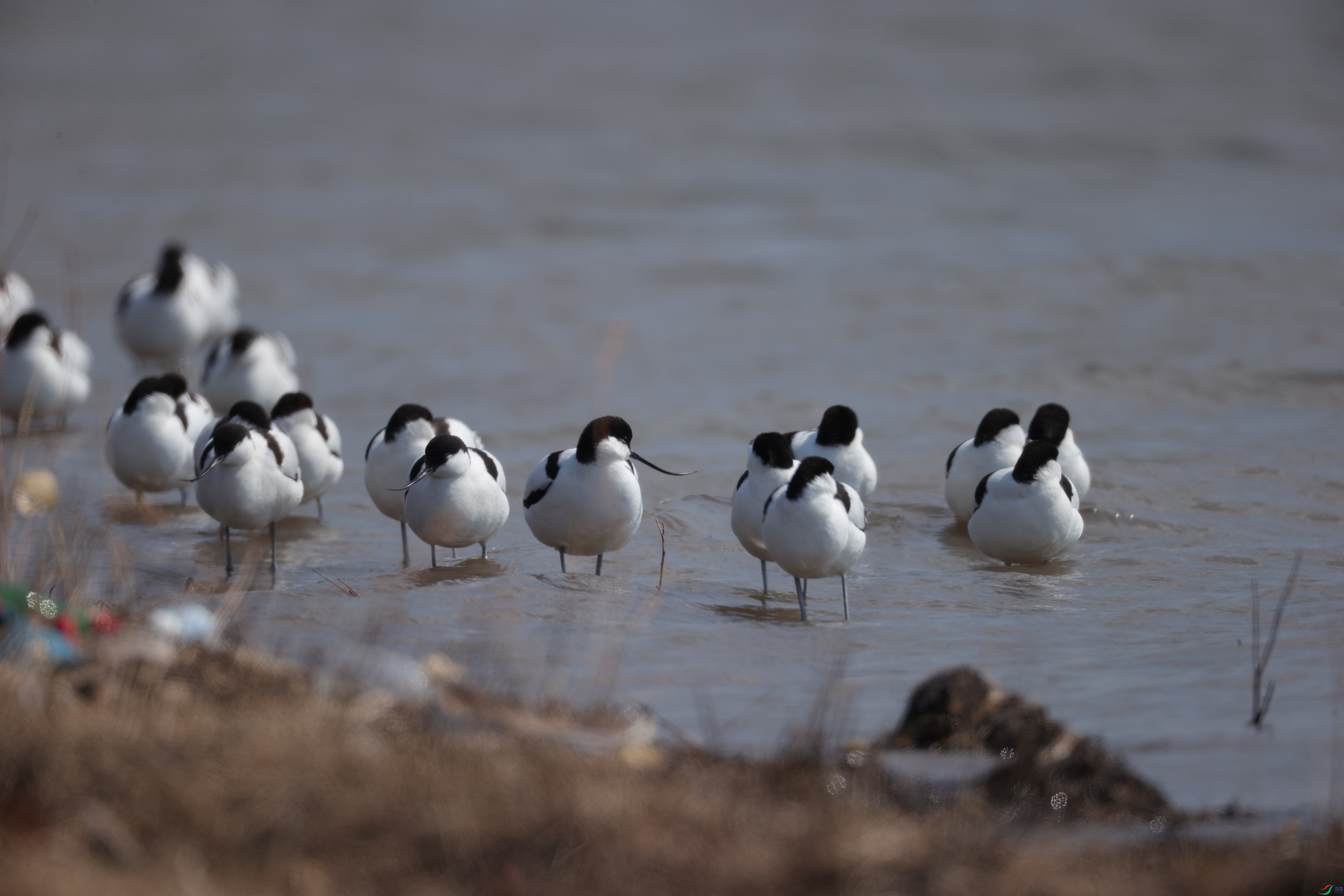 ������20