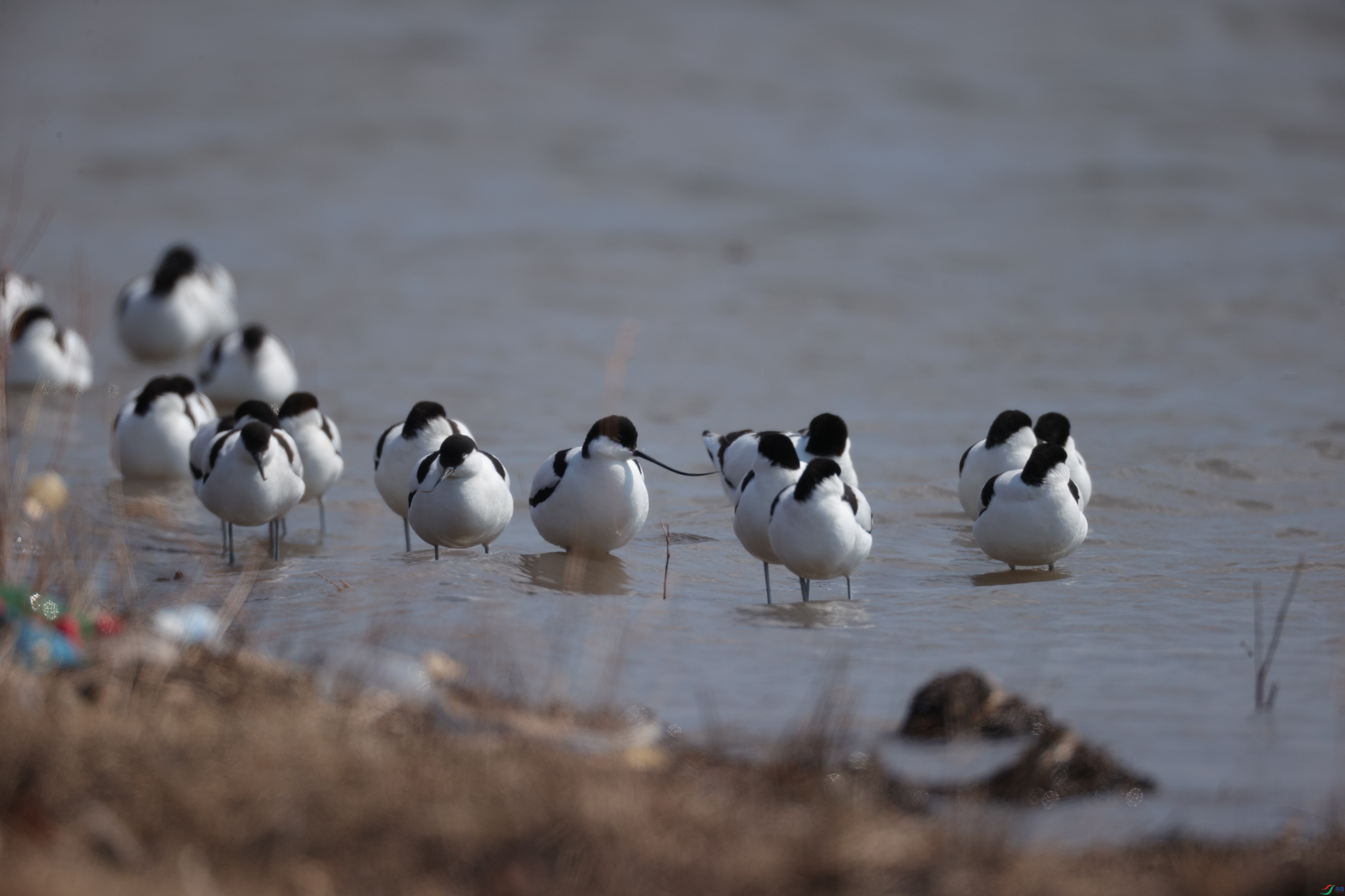 ������23