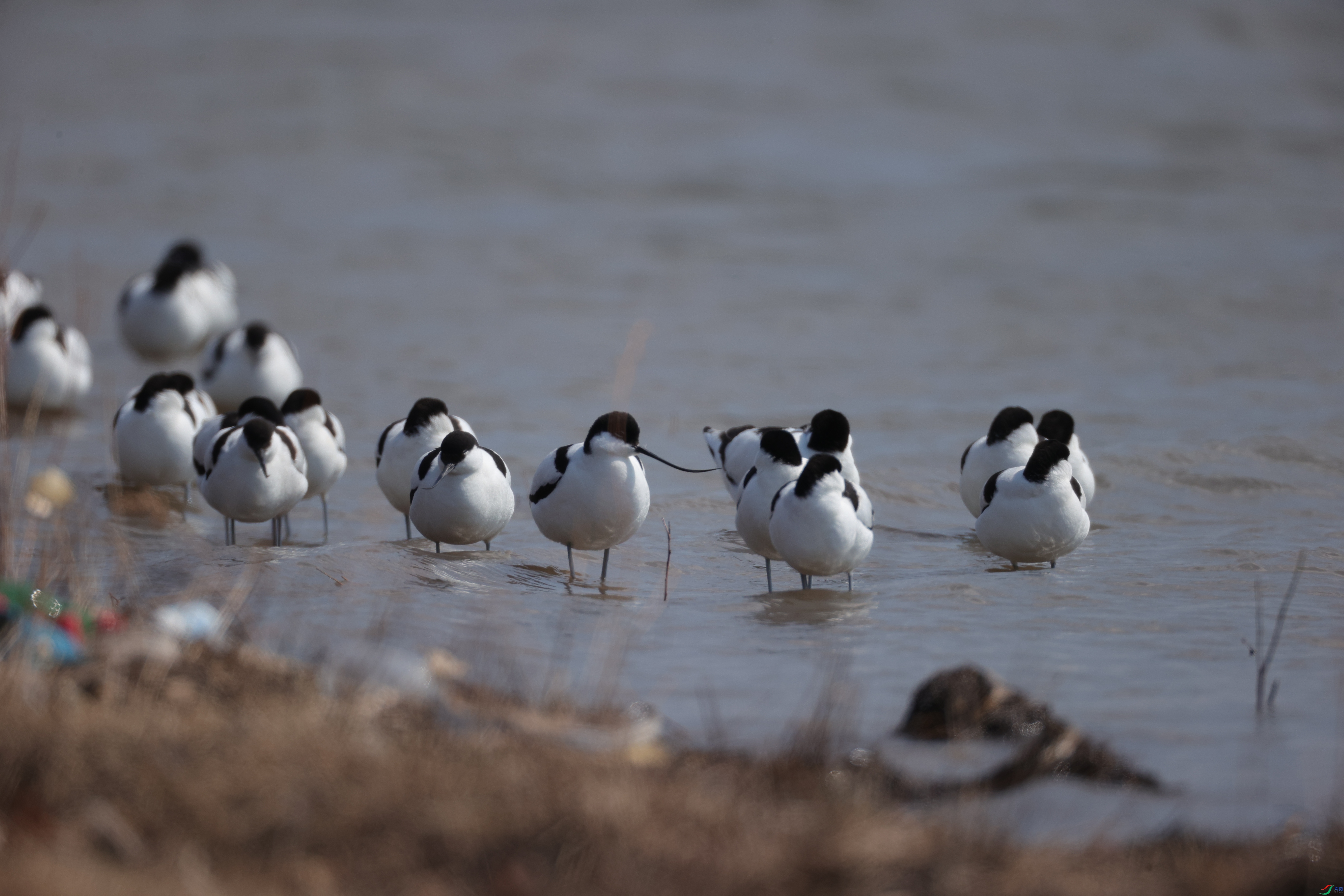 ������25