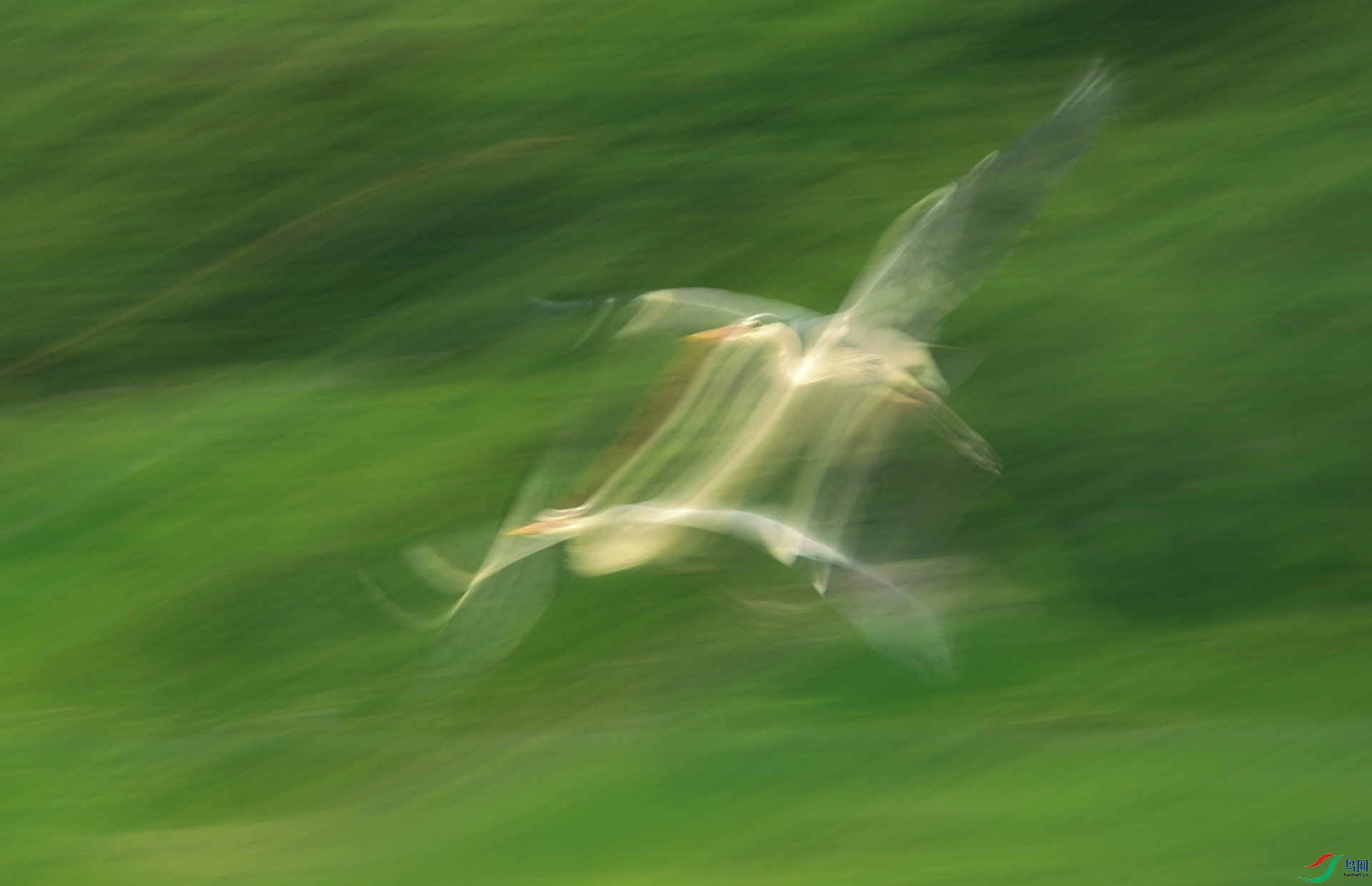 3V4A9730-.jpg