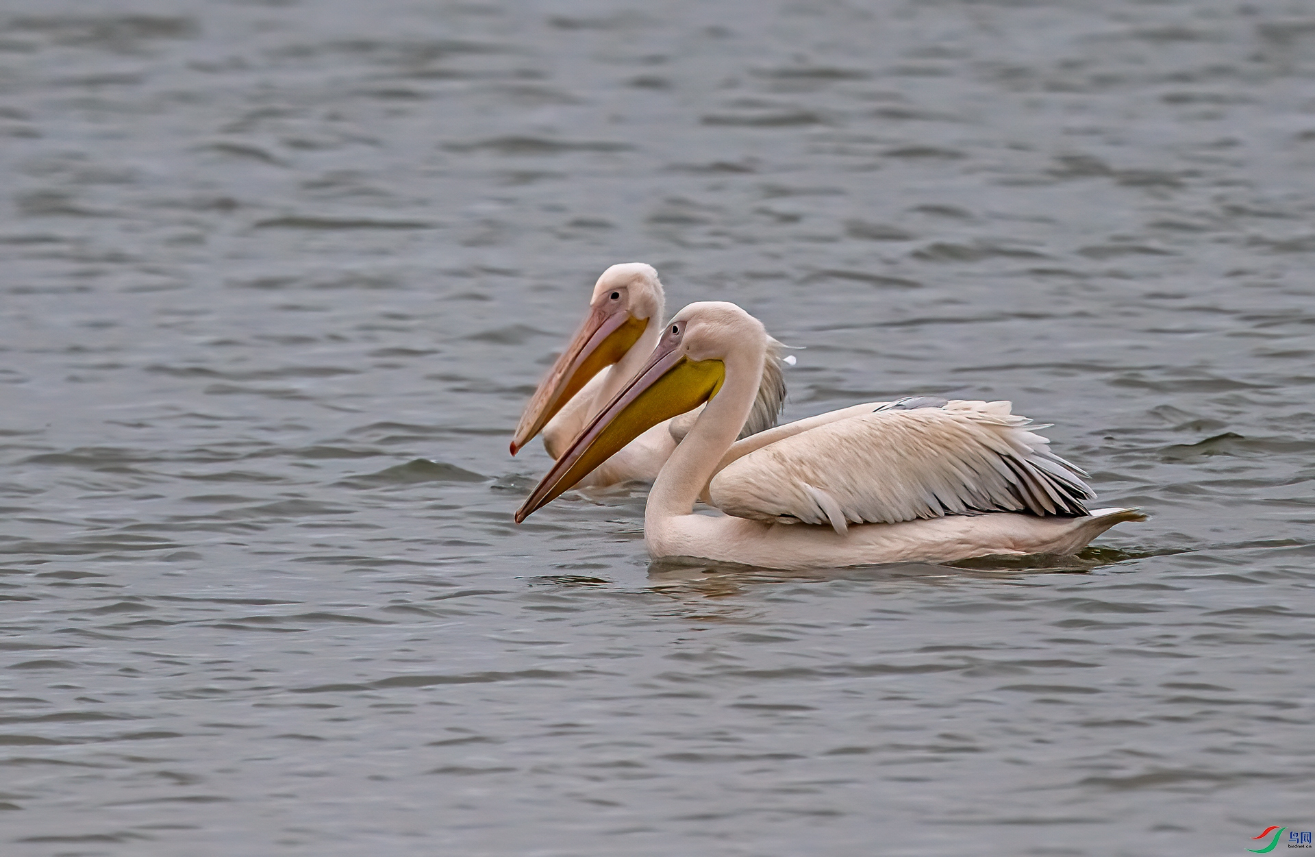 DSC_9711-11.jpg
