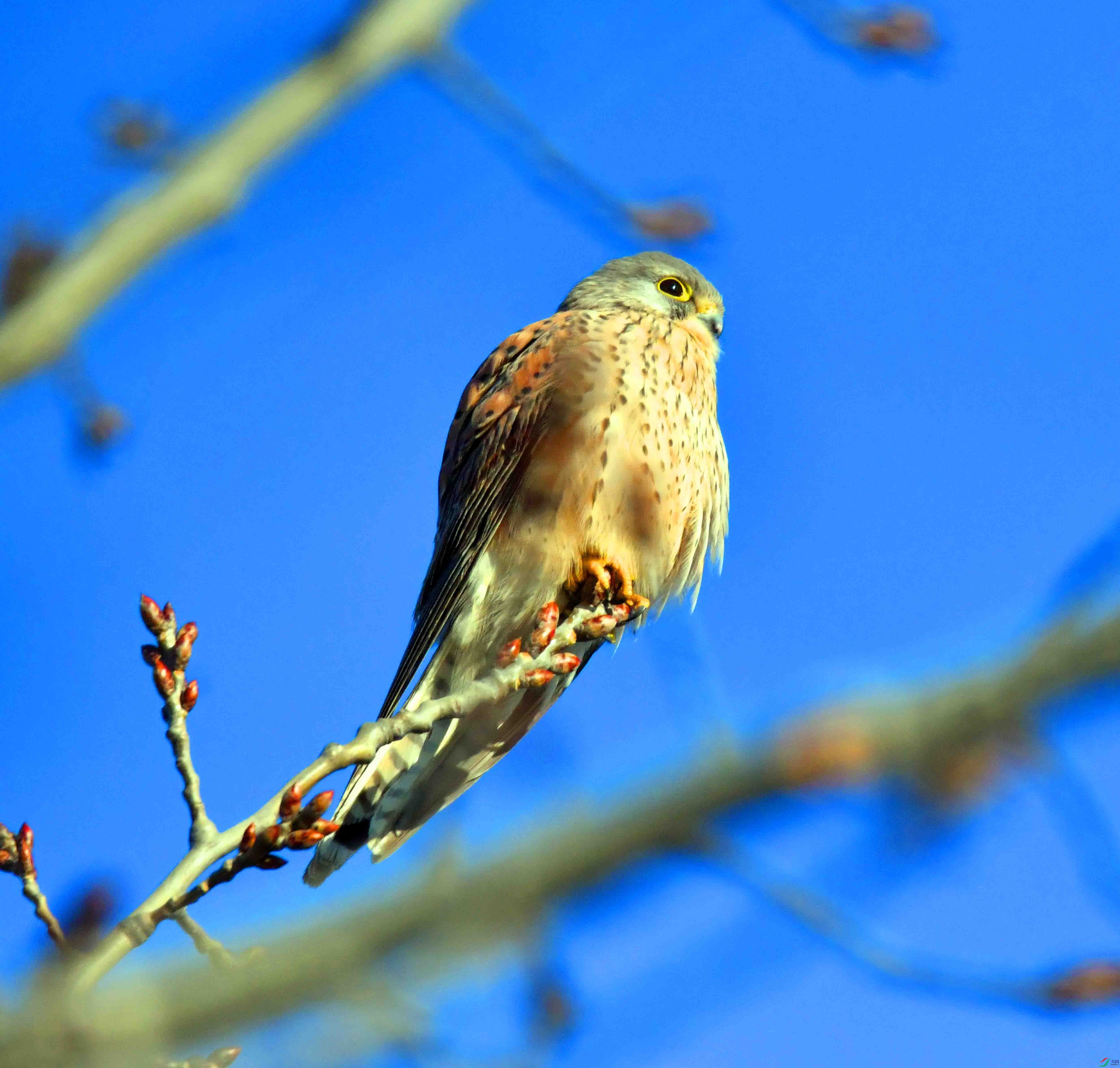 DSC_7663.JPG