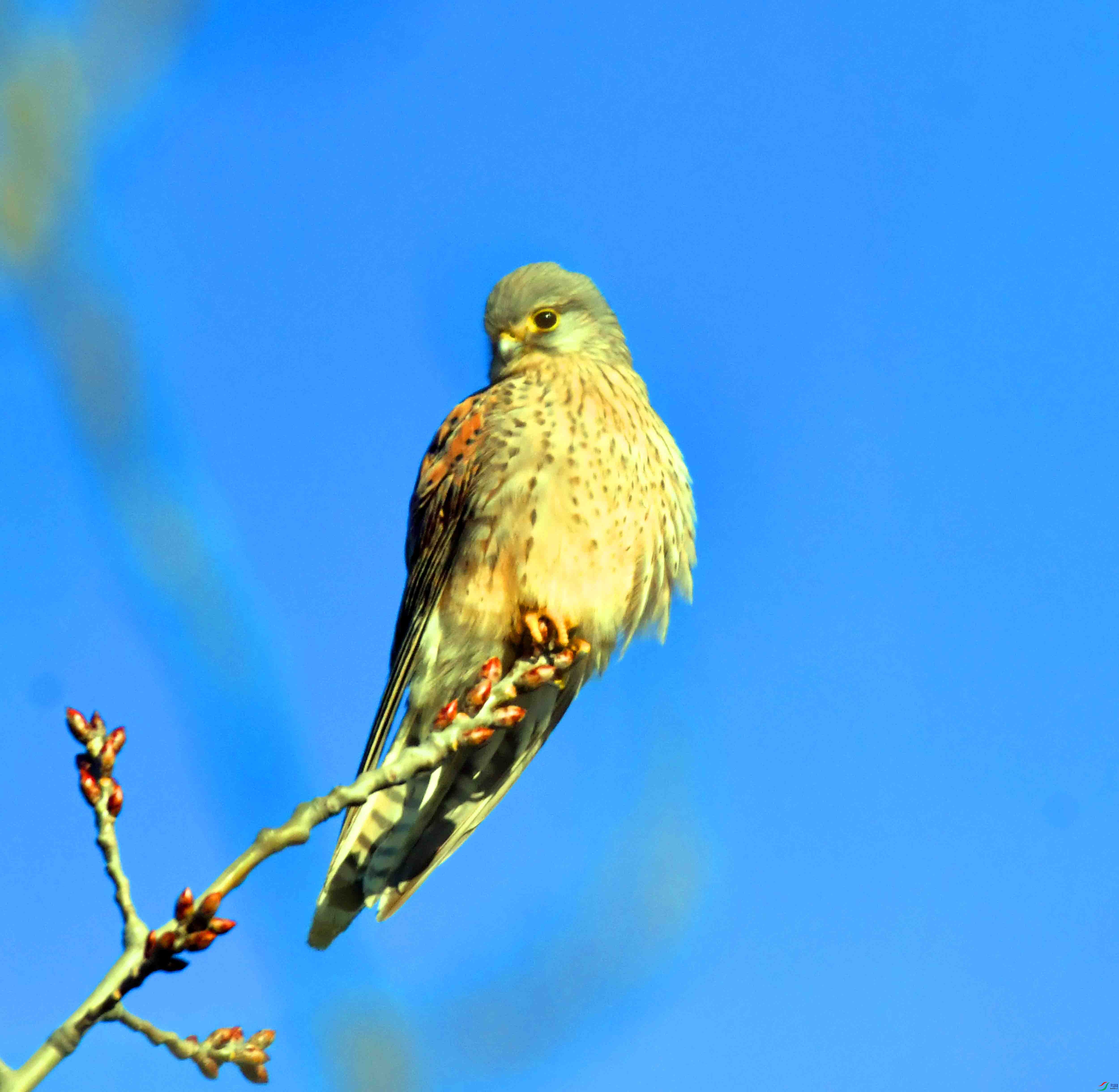 DSC_7672.JPG