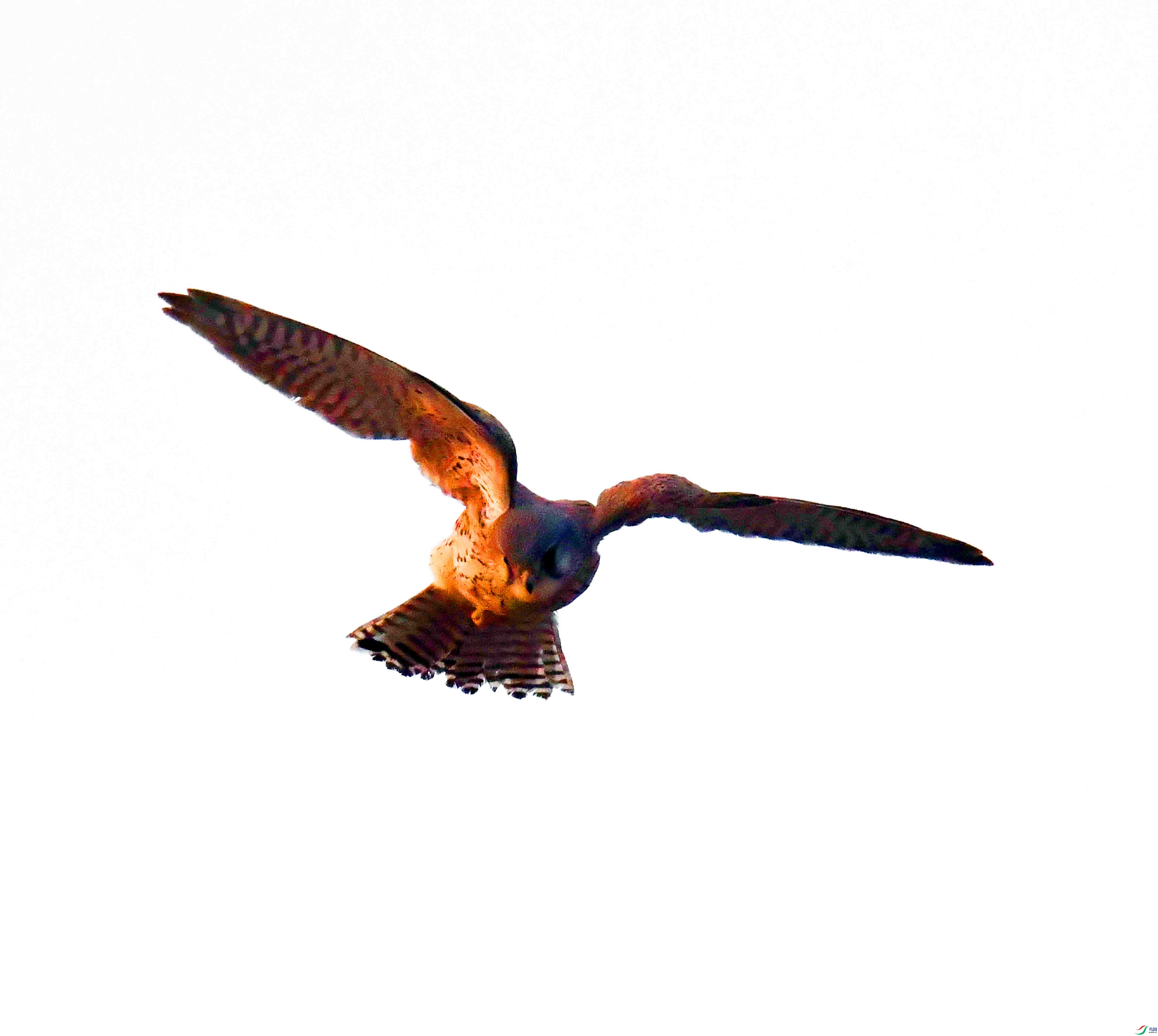 DSC_8210.JPG
