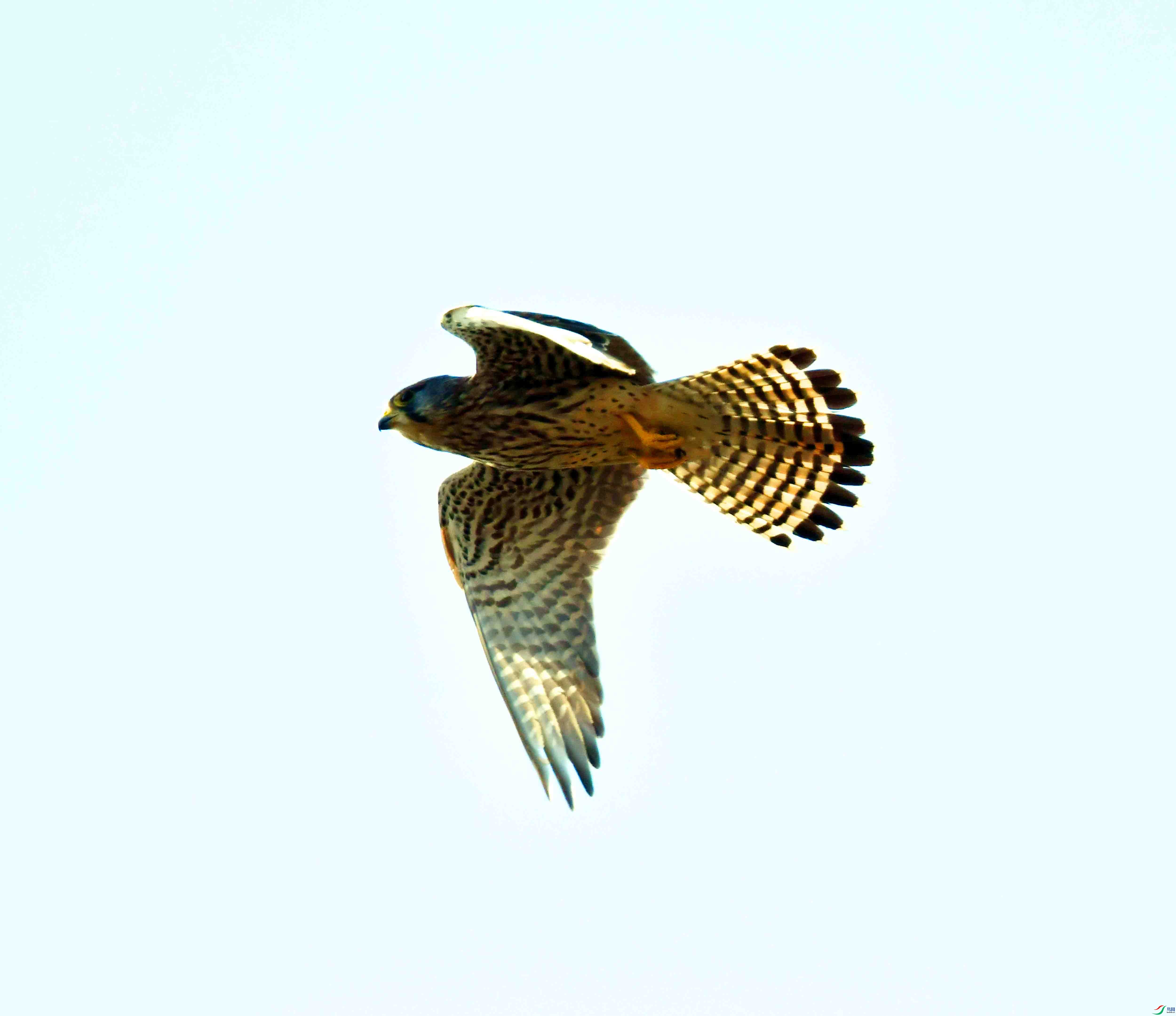 DSC_8789.JPG