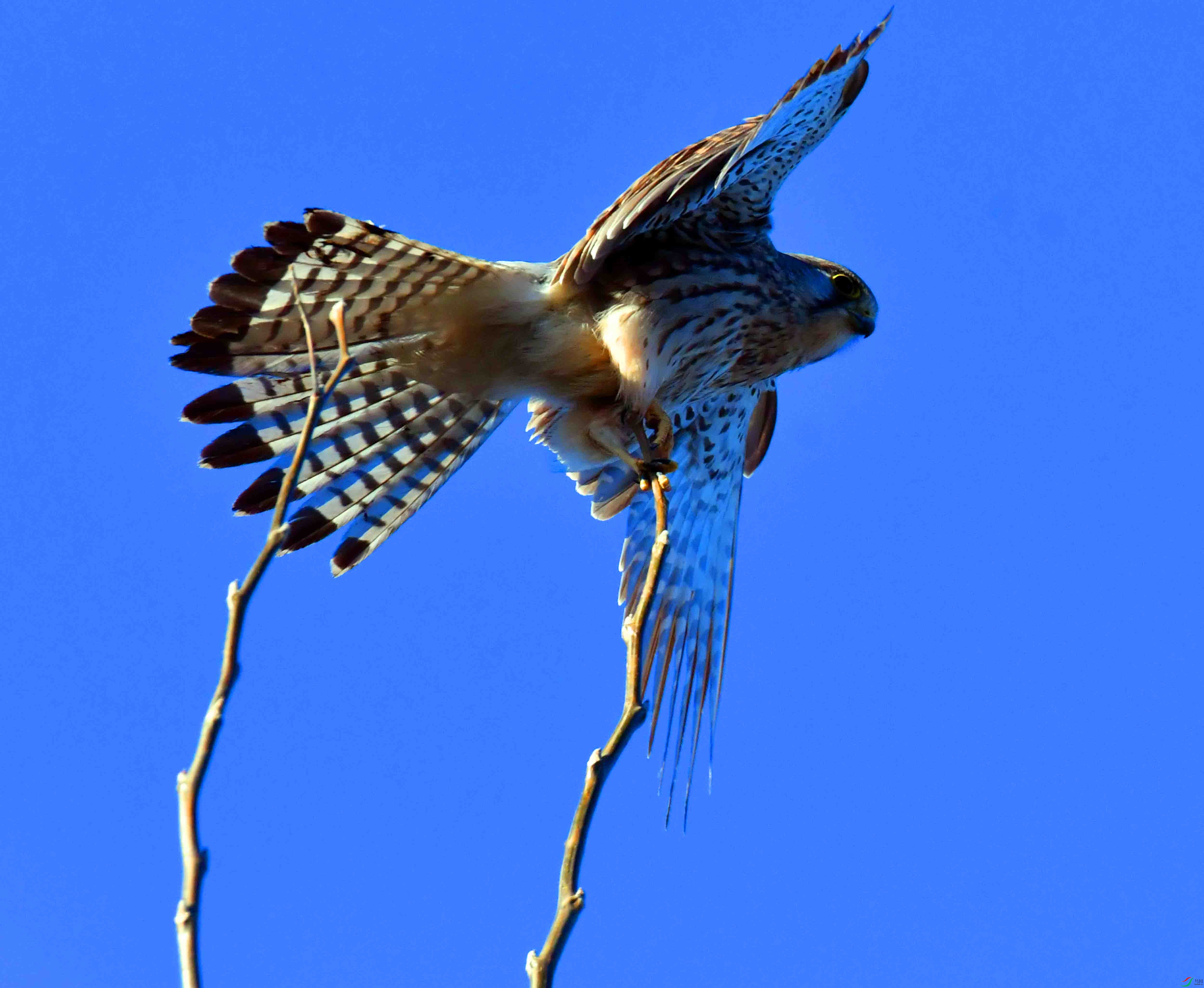 DSC_9984.JPG
