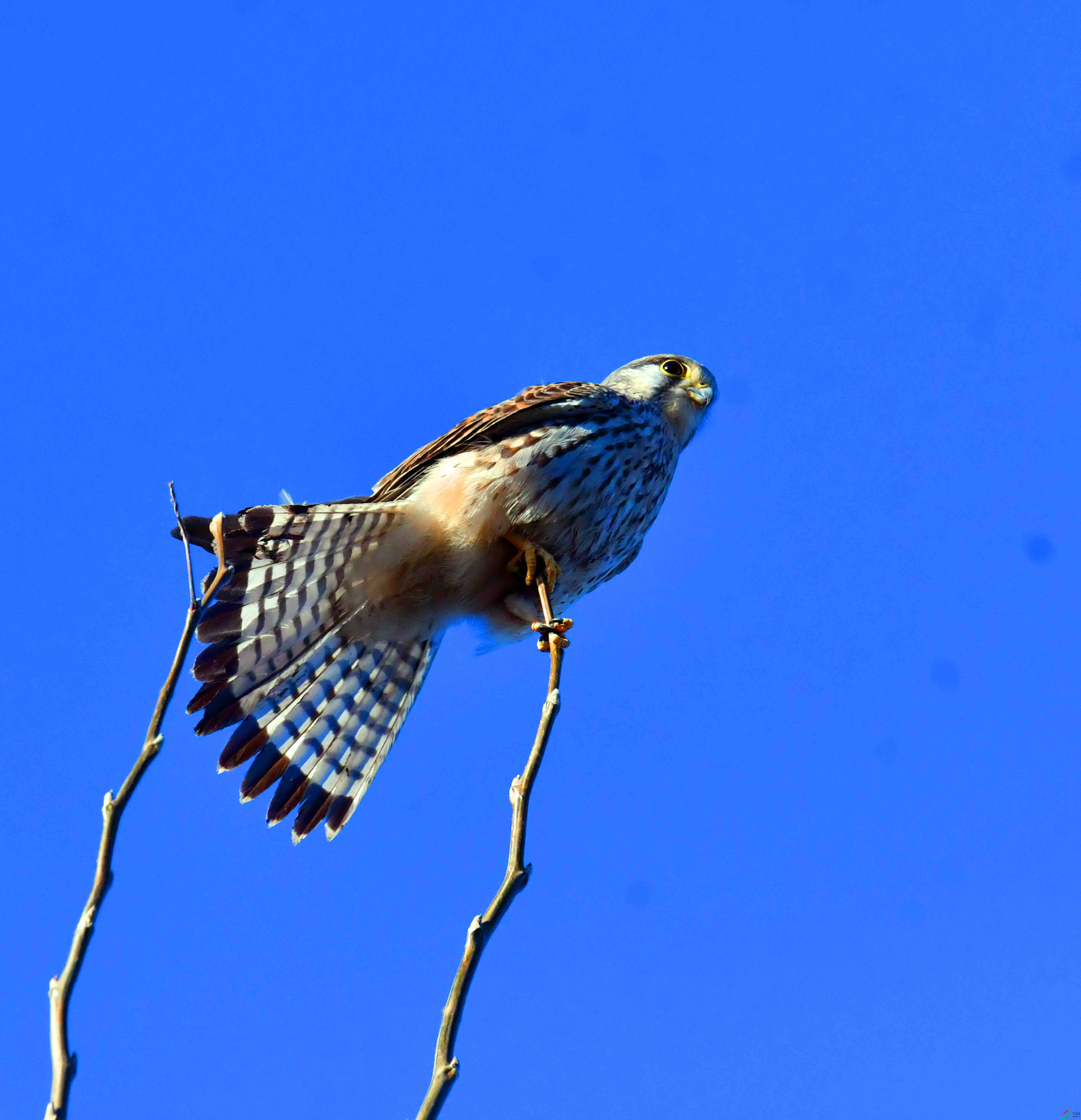 DSC_9989.JPG