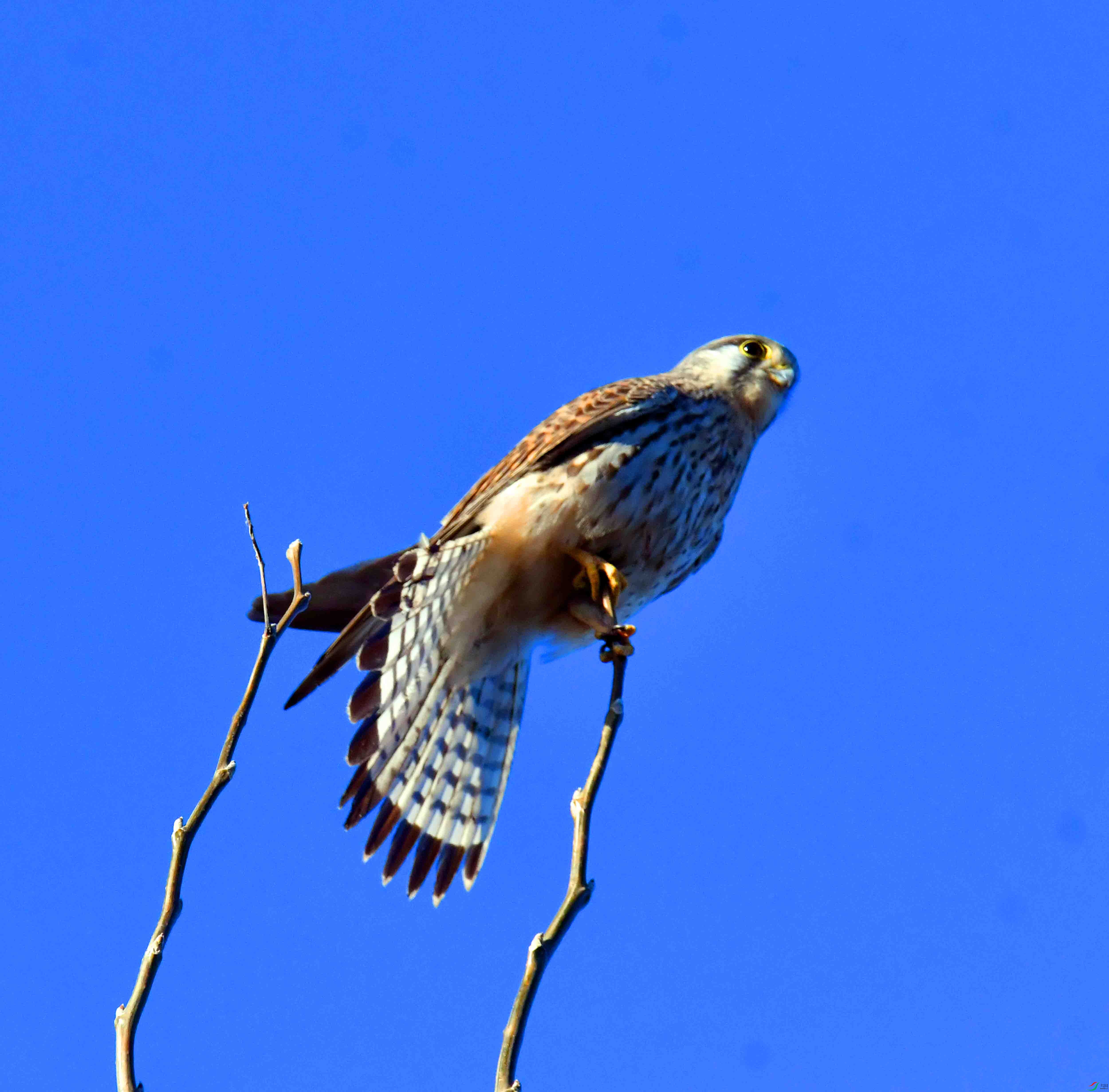 DSC_9991.JPG