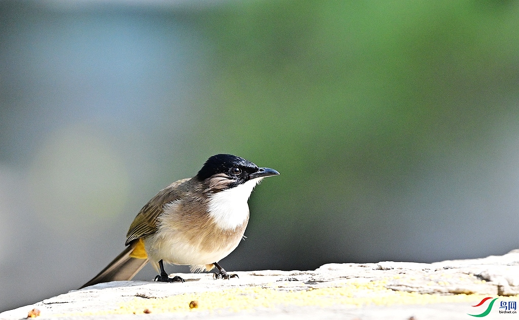 DSC_2081.JPG
