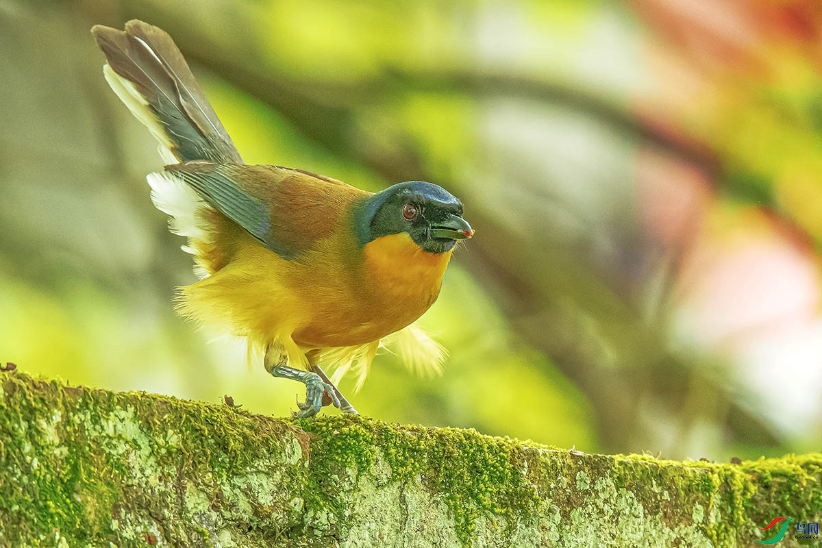 DSC_3378.jpg