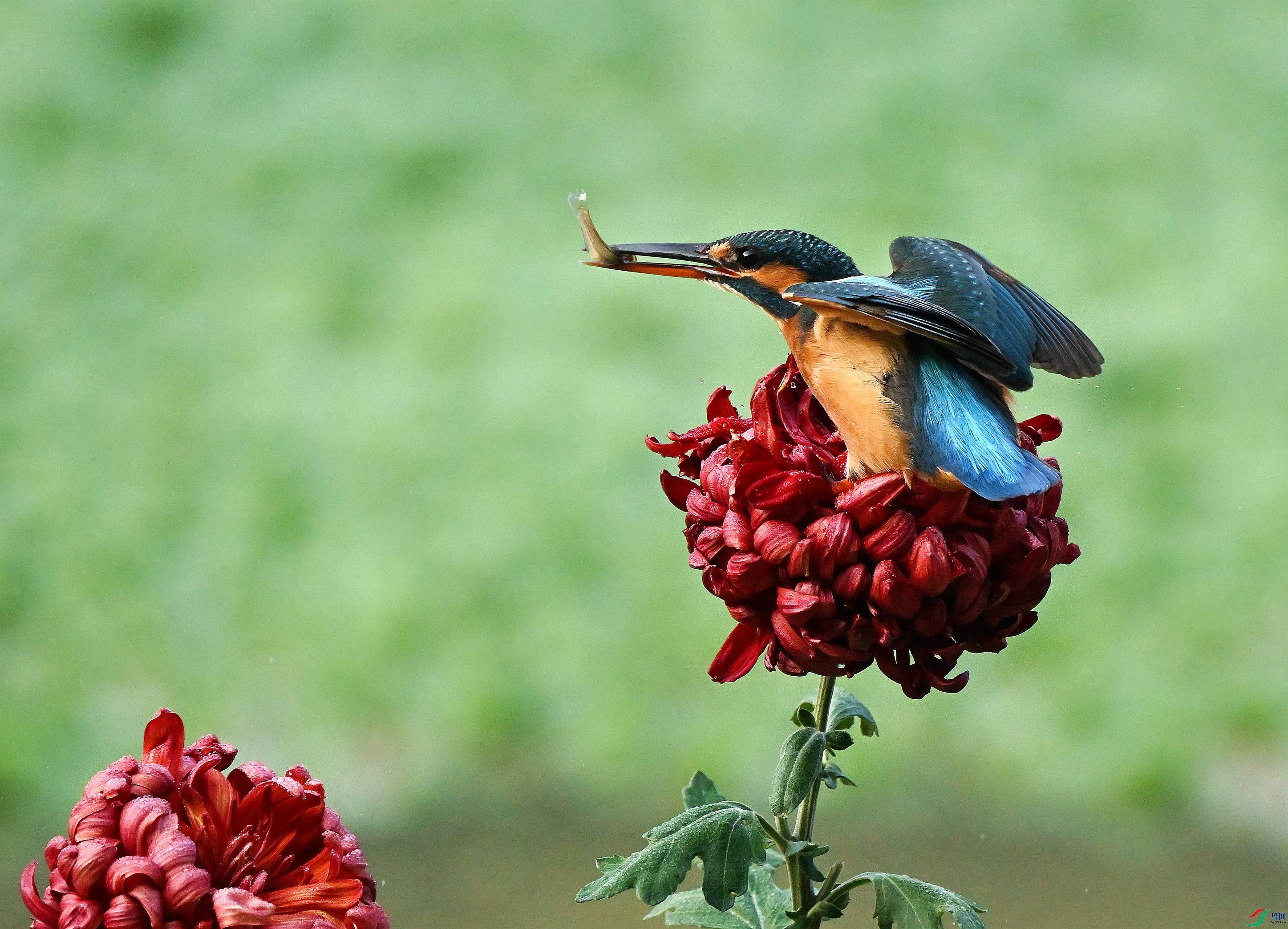 DSC_7589.JPG