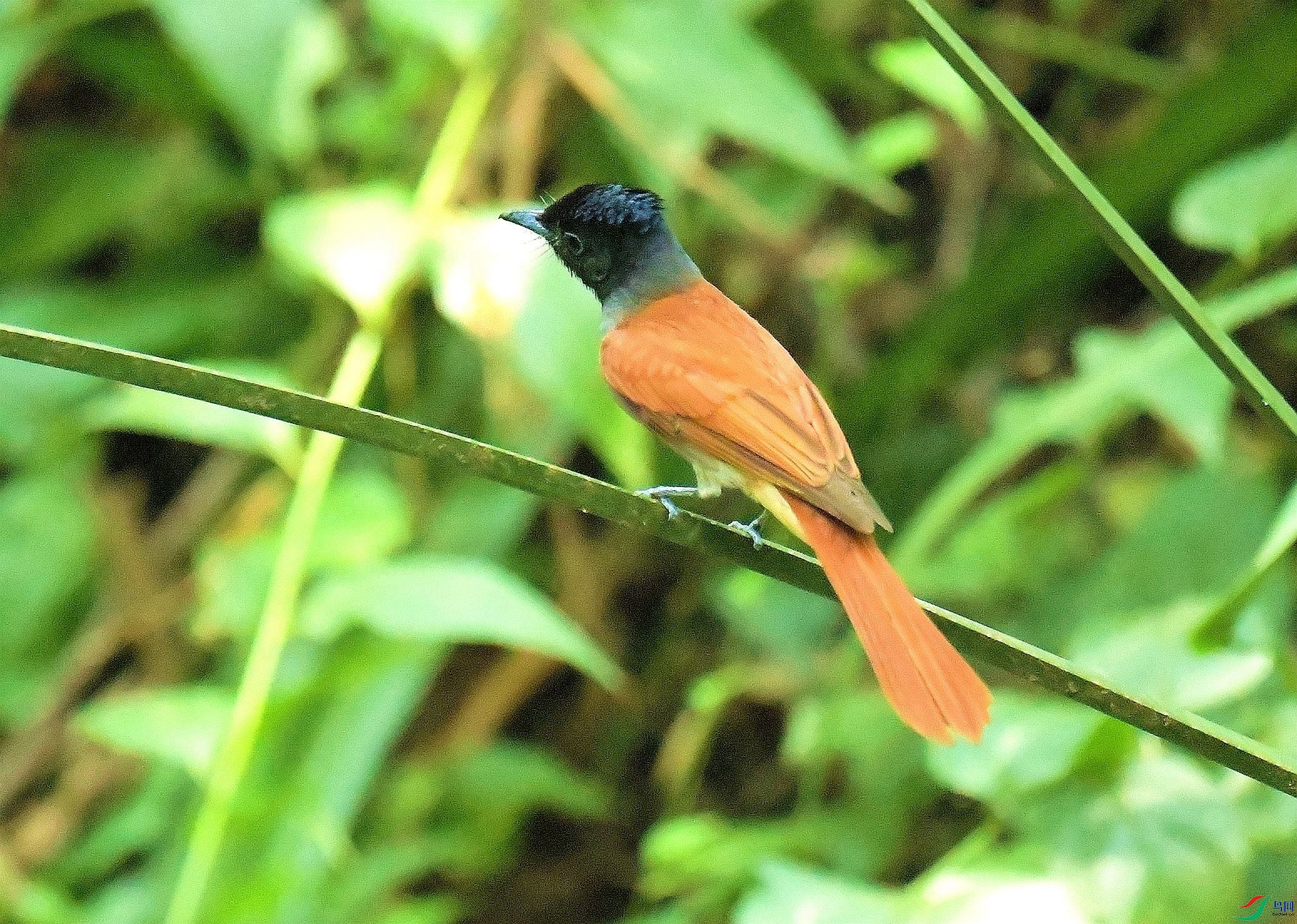 DSC_3324.JPG