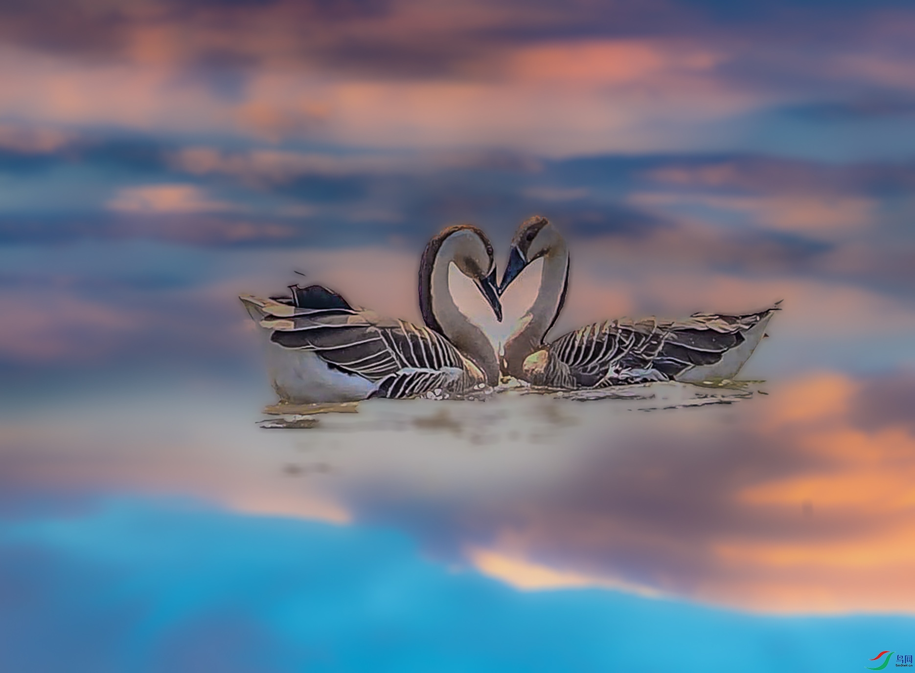 P4251998_���ٿ�ͼ ���� 3.jpg