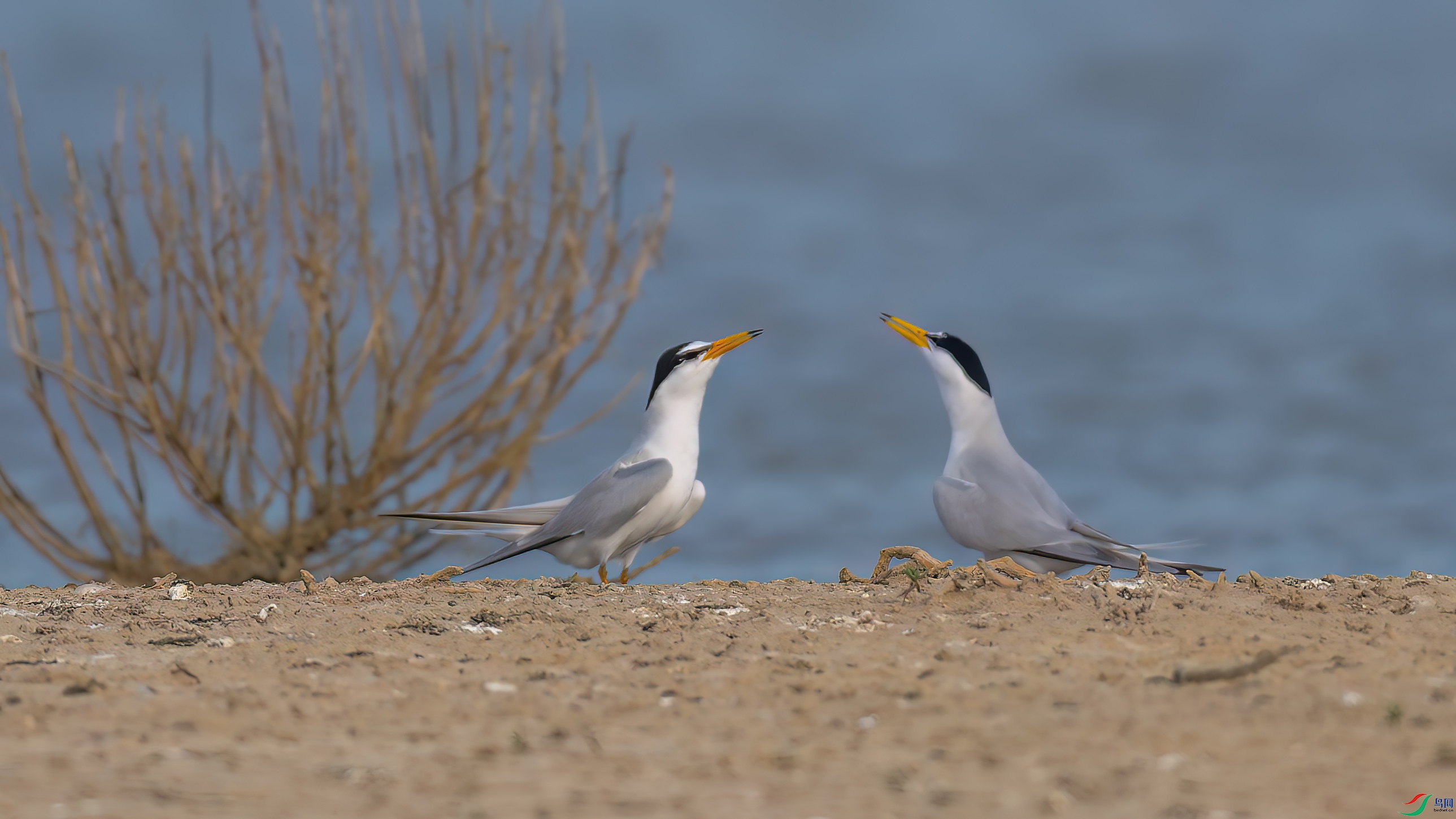 DSC_1853.jpg