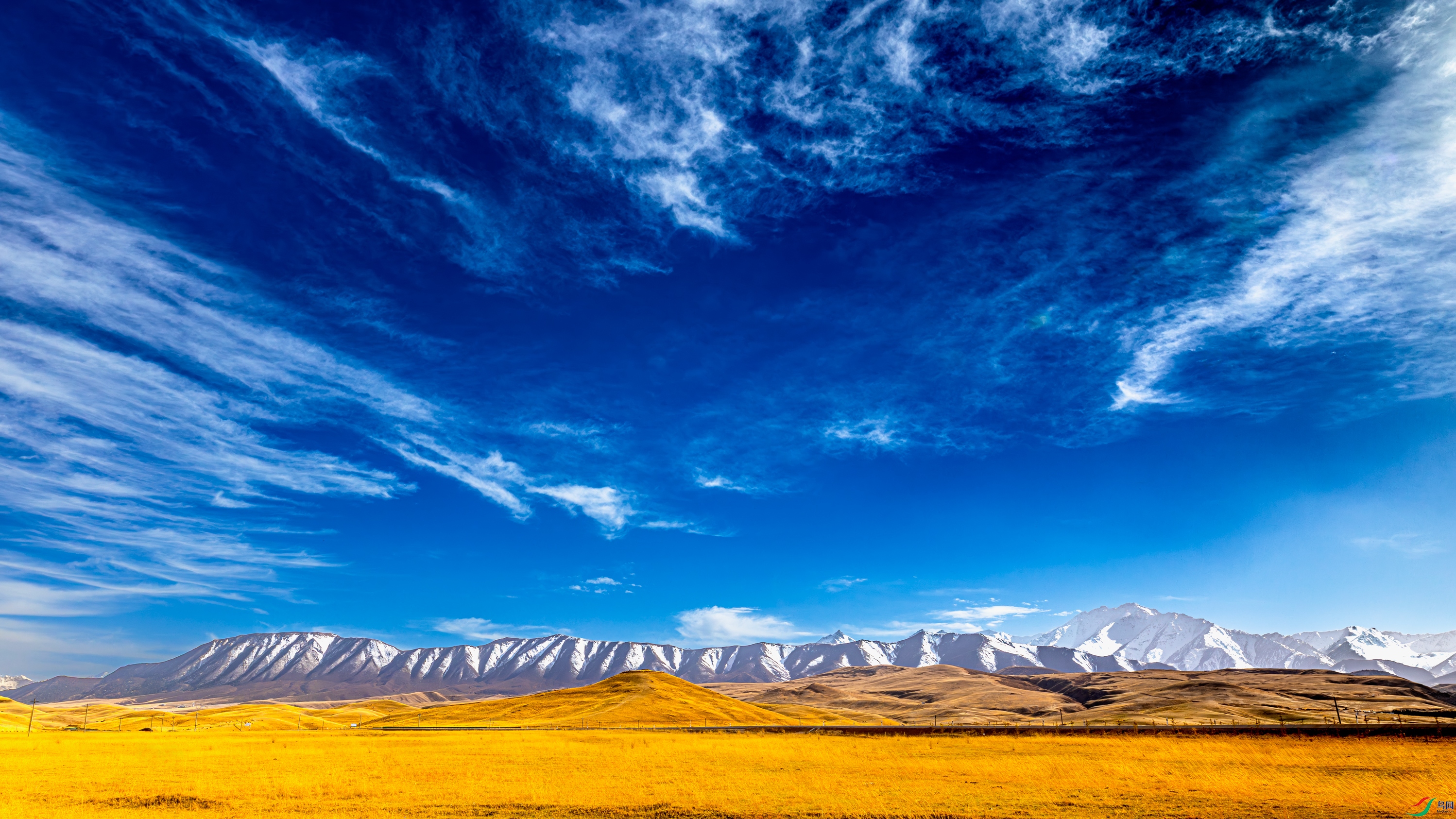 _38A5369-22.jpg