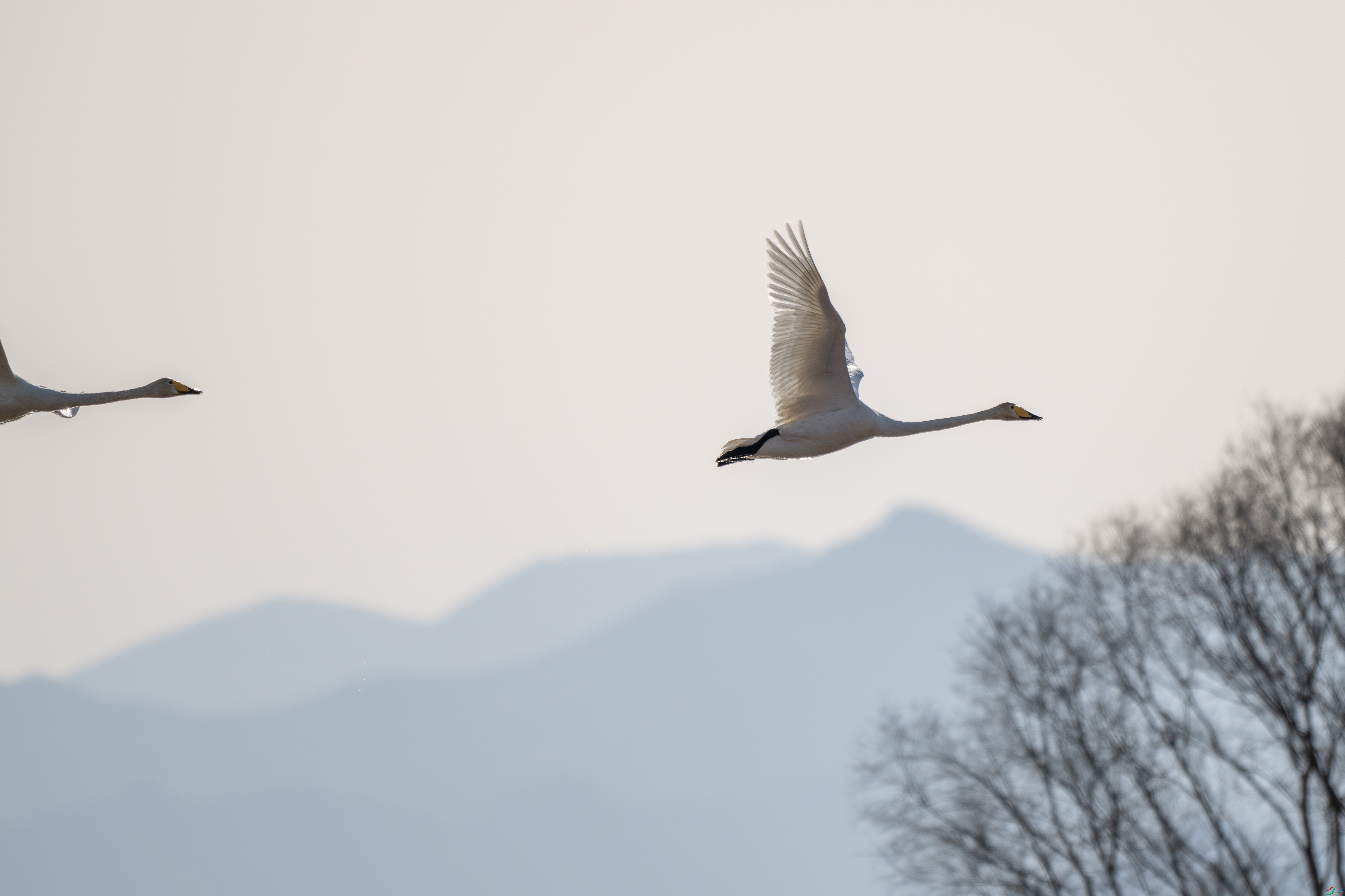 DSC_5399-����.jpg