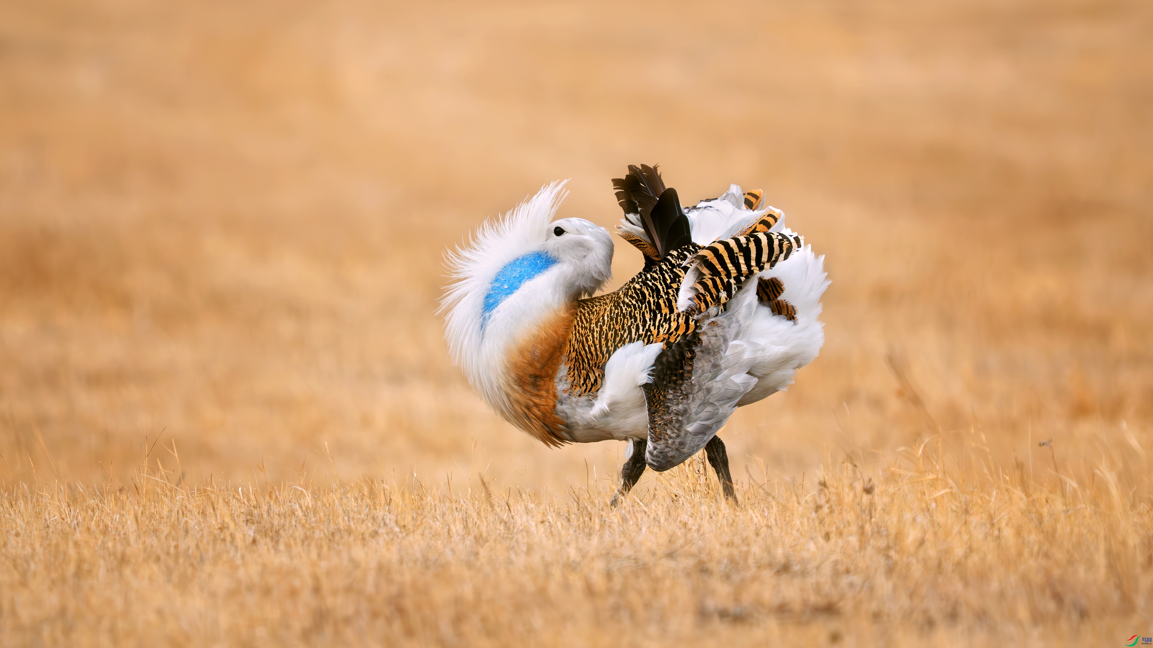 _DSC5406 ����.jpg