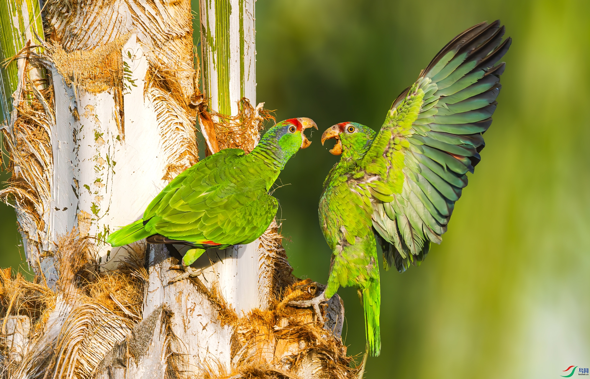 �ؼ� & ���