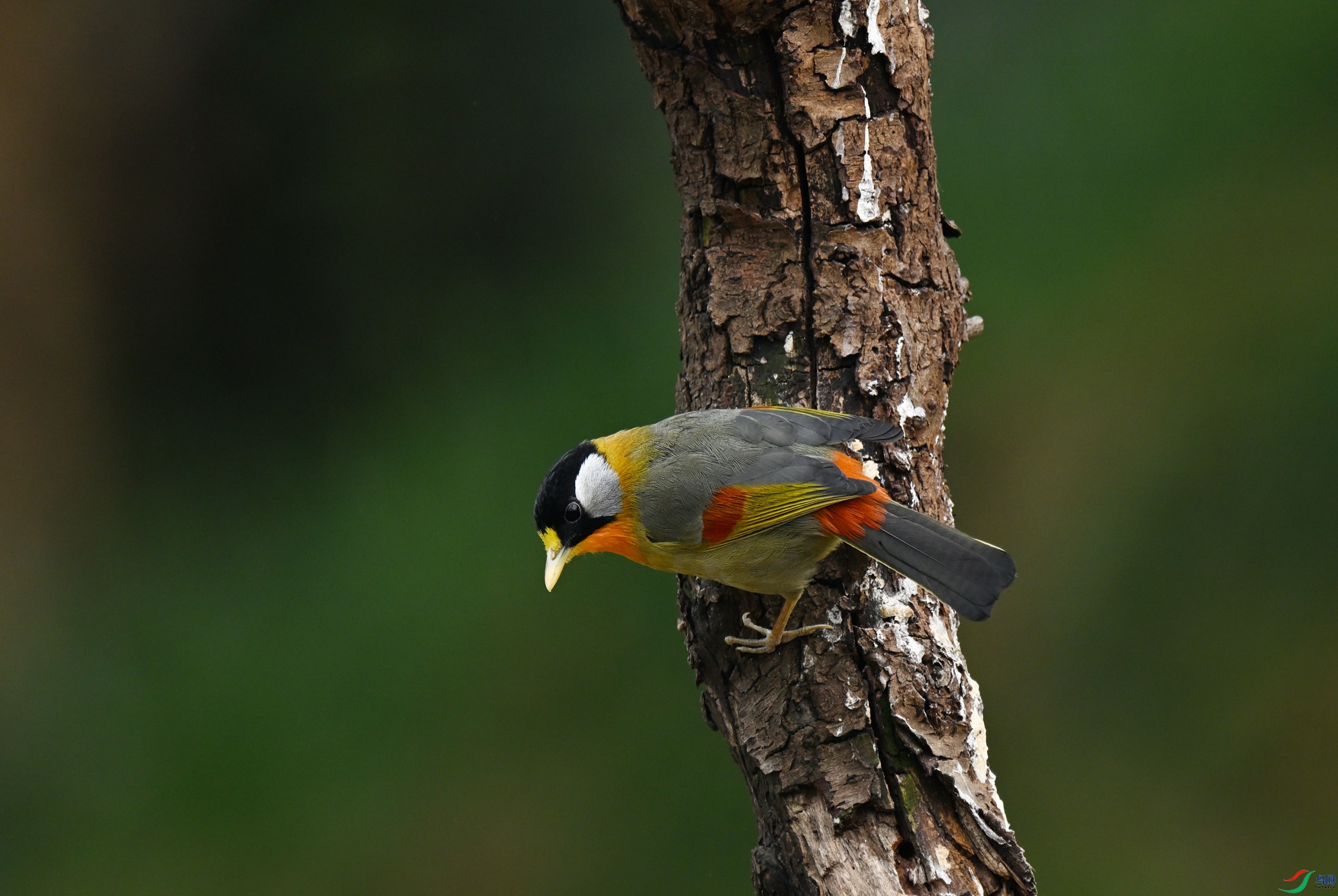 DSC_7696_����.jpg
