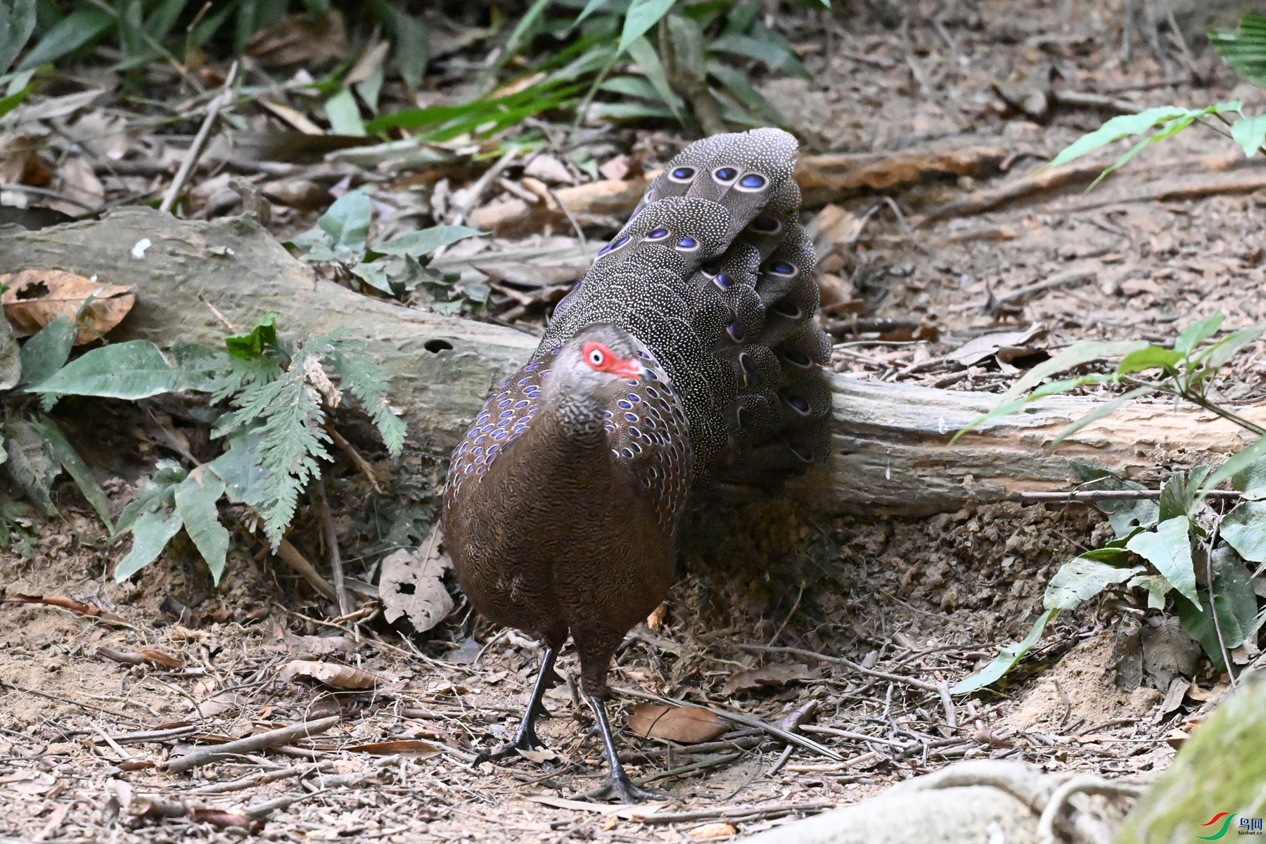 DSC_7685.JPG