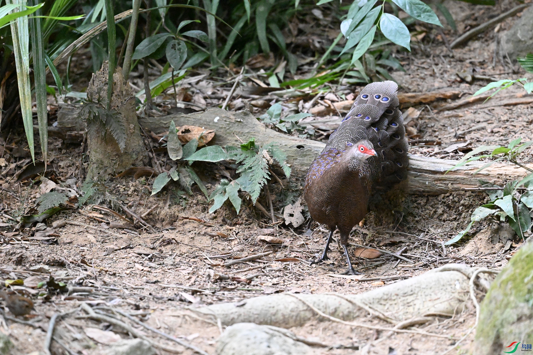 DSC_7686.JPG