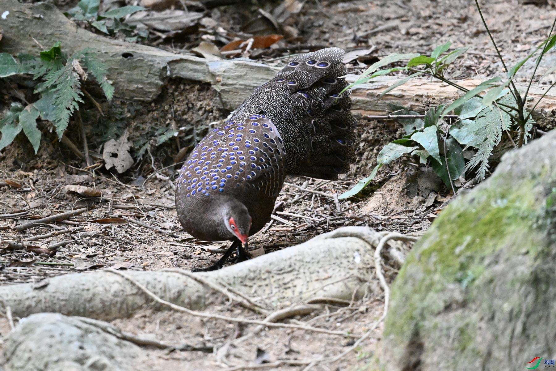 DSC_7688.JPG