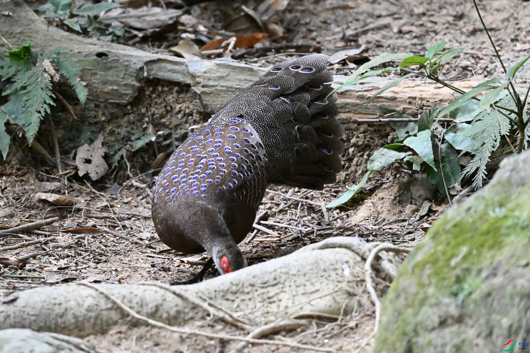 DSC_7689.JPG