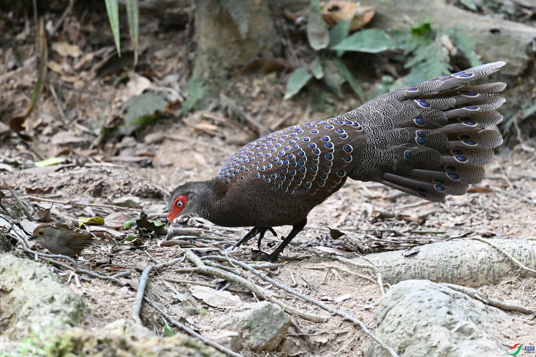 DSC_7707.JPG