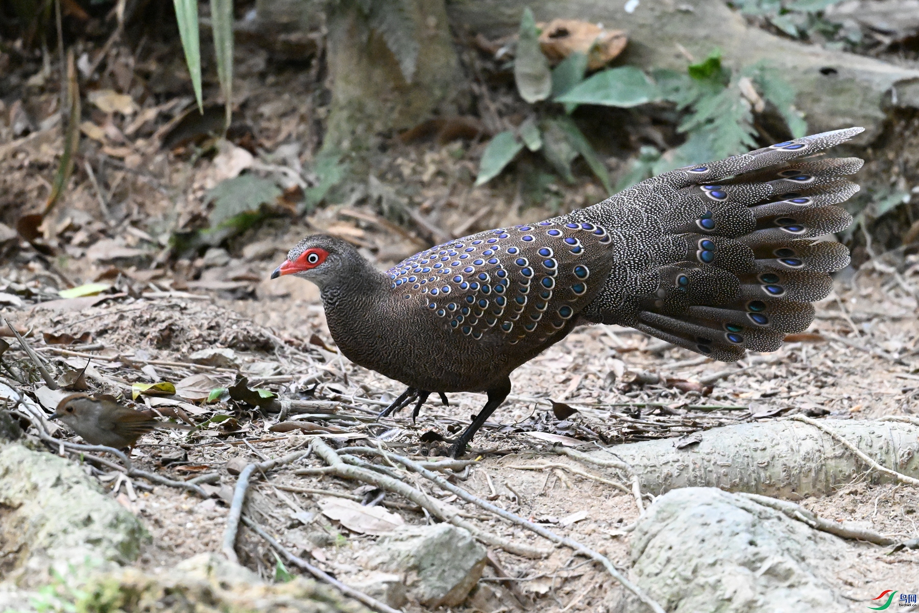 DSC_7709.JPG