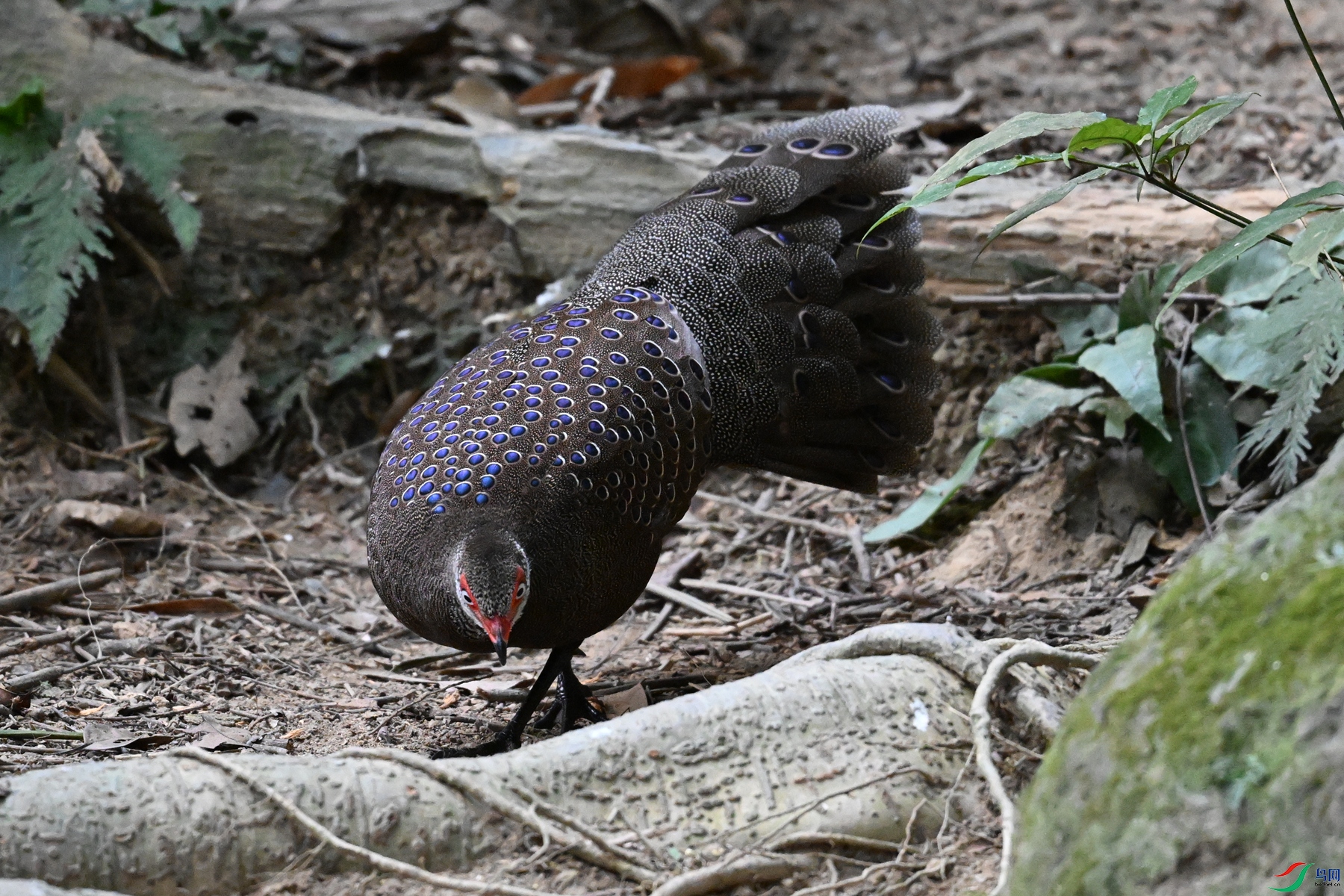 DSC_7691.JPG