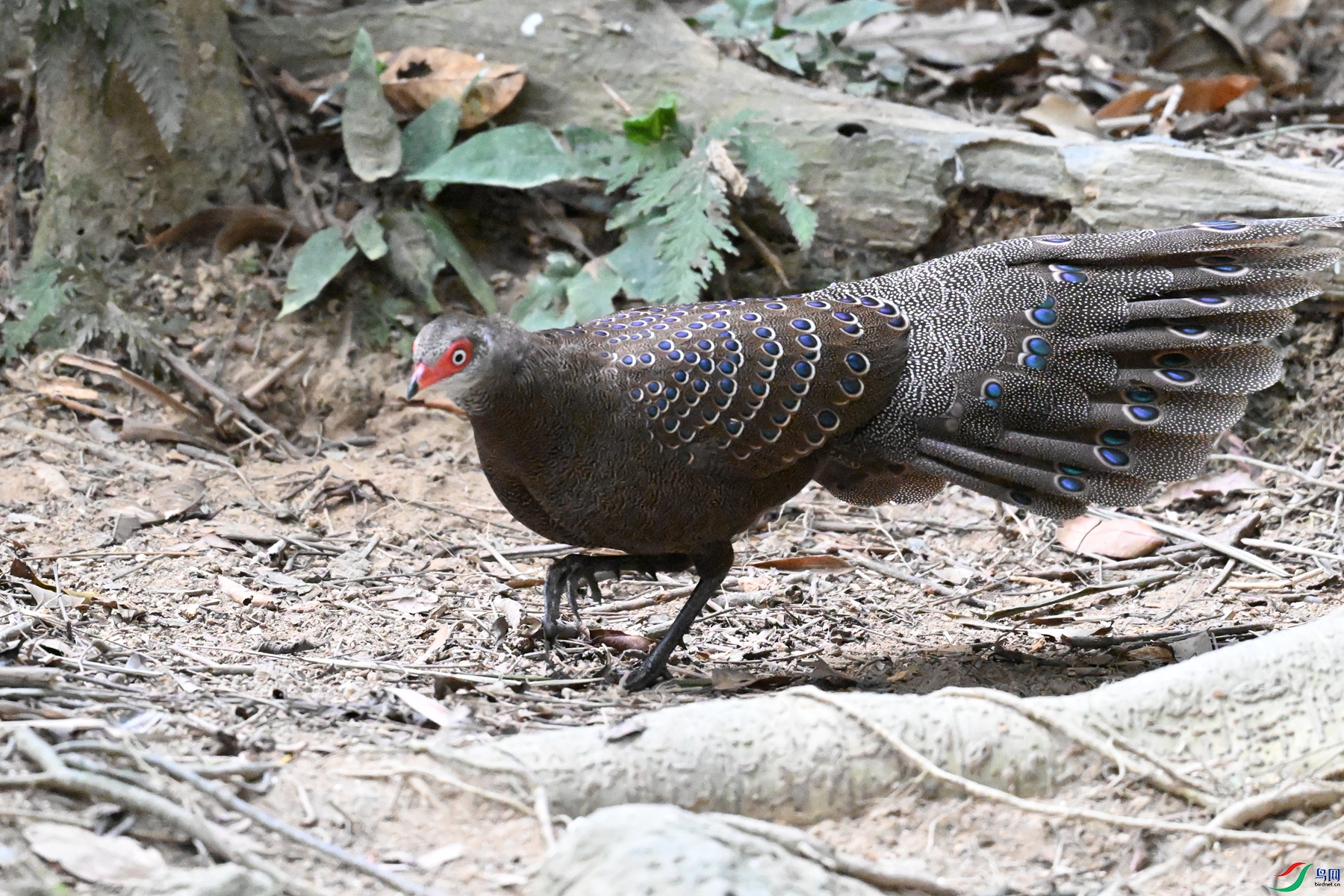 DSC_7697.JPG