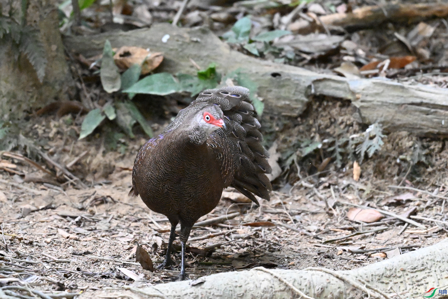 DSC_7702.JPG