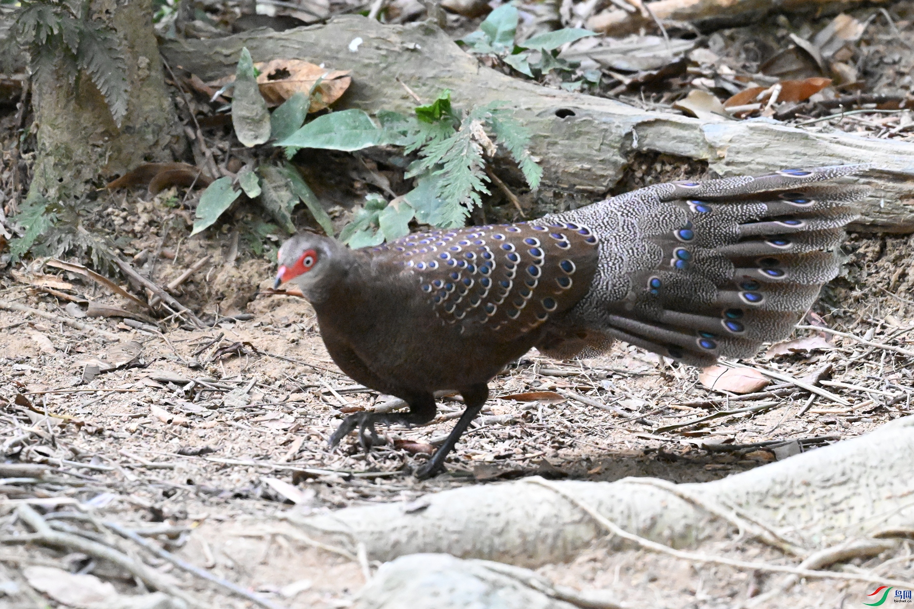 DSC_7698.JPG
