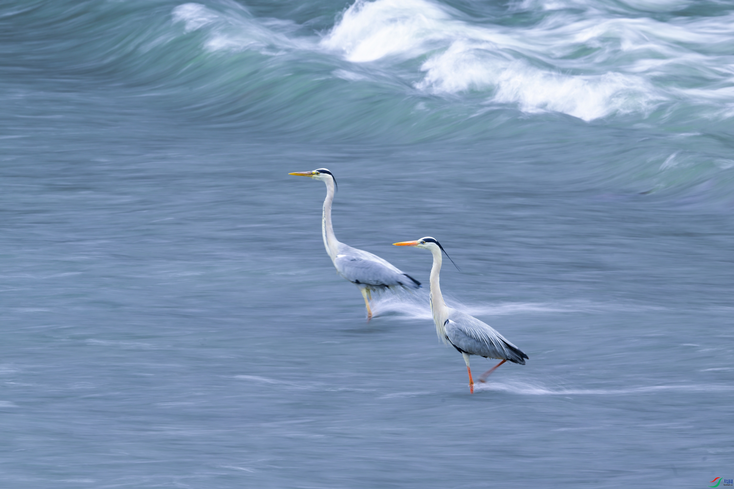 _DSC1008x.jpg