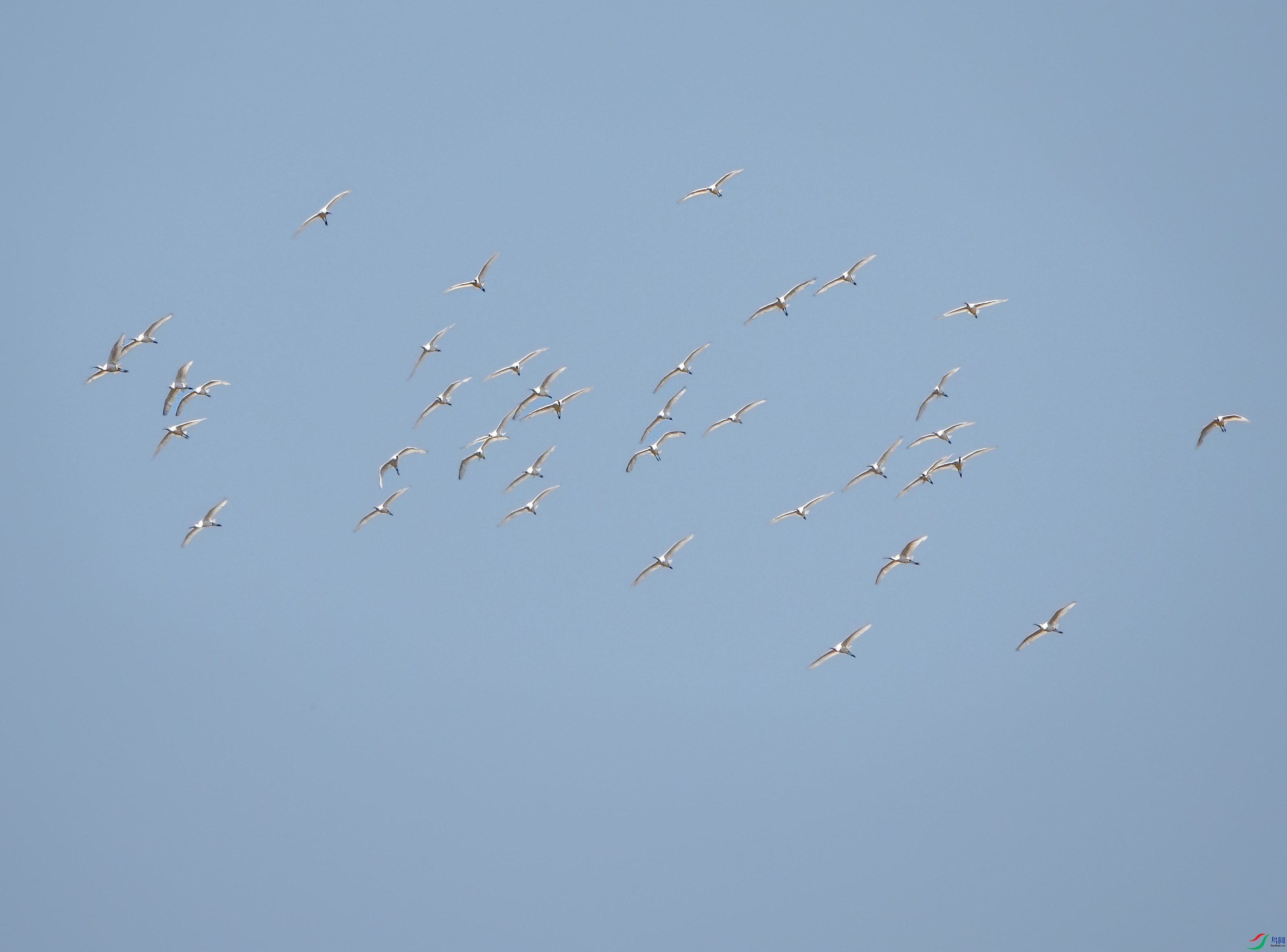 DSC01089 ����.jpg