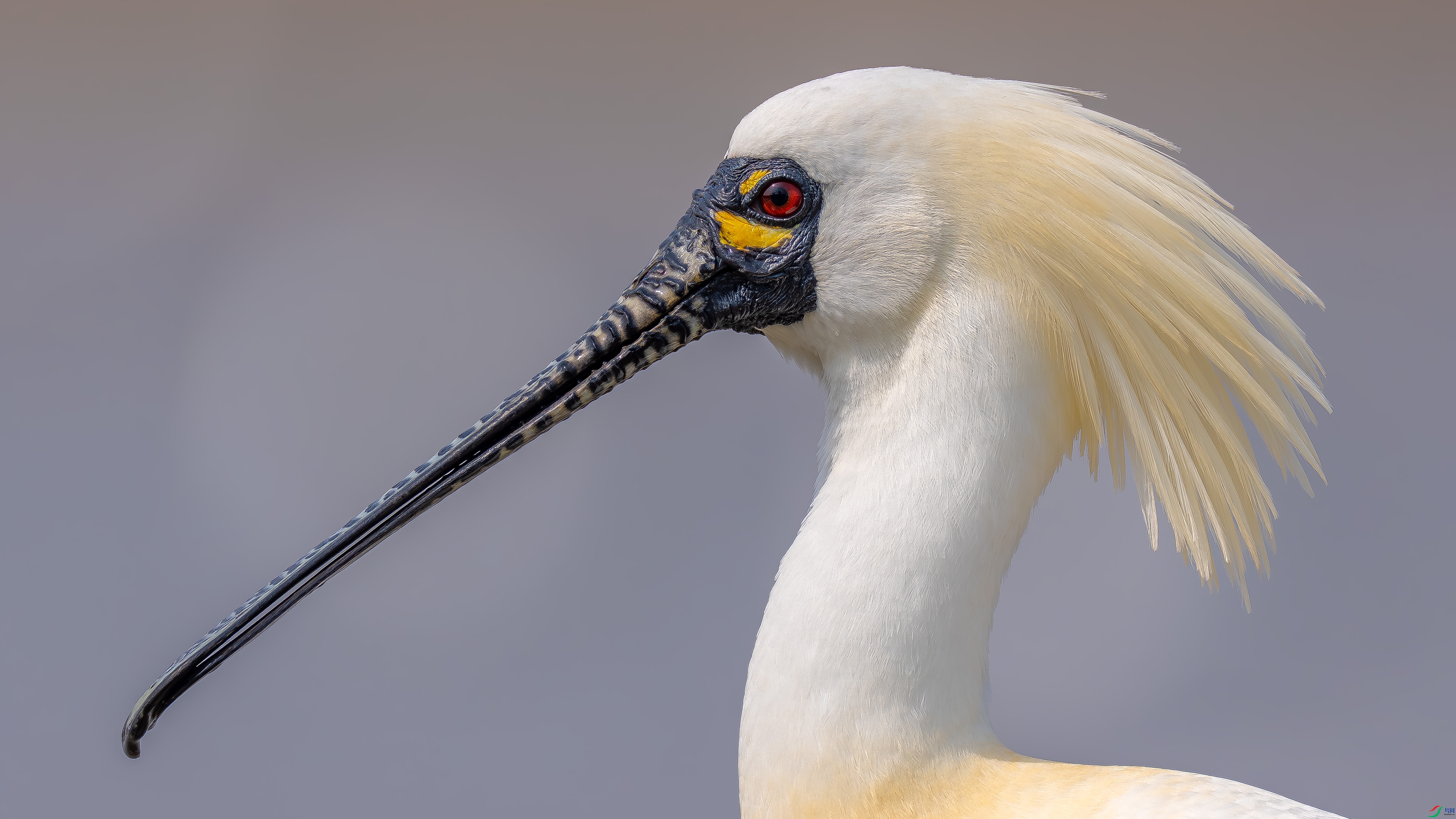 DSC07583 ����.jpg