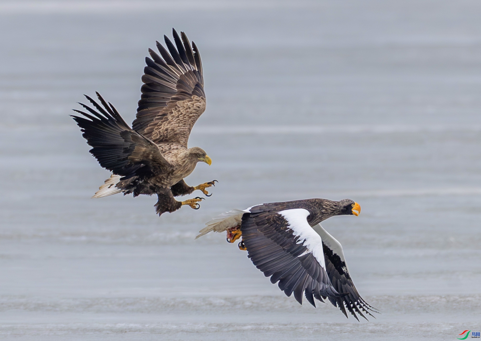 4.22����23700��ʦ��Ʒ   ����ȸ���ں� ��ף���ٻ���Ӱʦ������.jpg