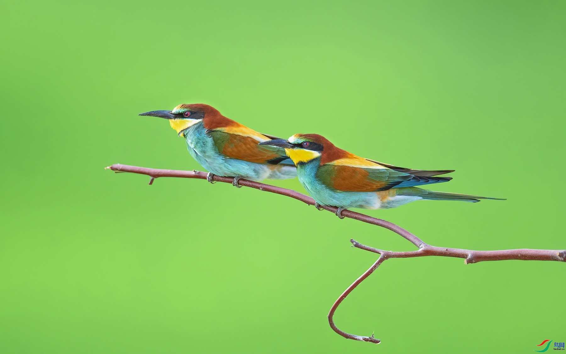 4.23����ͬ��yy��ʦ��Ʒ   �ƺ��仢һ�� ��ף���ٻ���Ӱʦ������.jpg